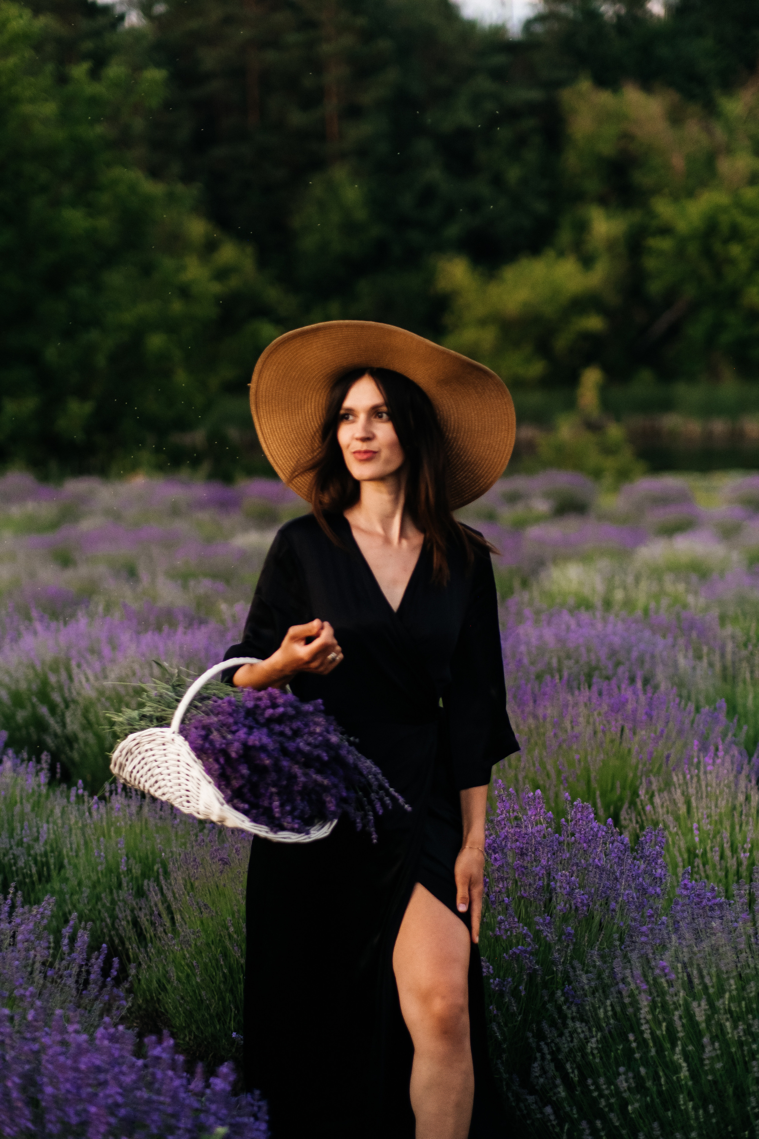 Lavanda. Плотиця Олександр. Весільний та сімейний фотограф