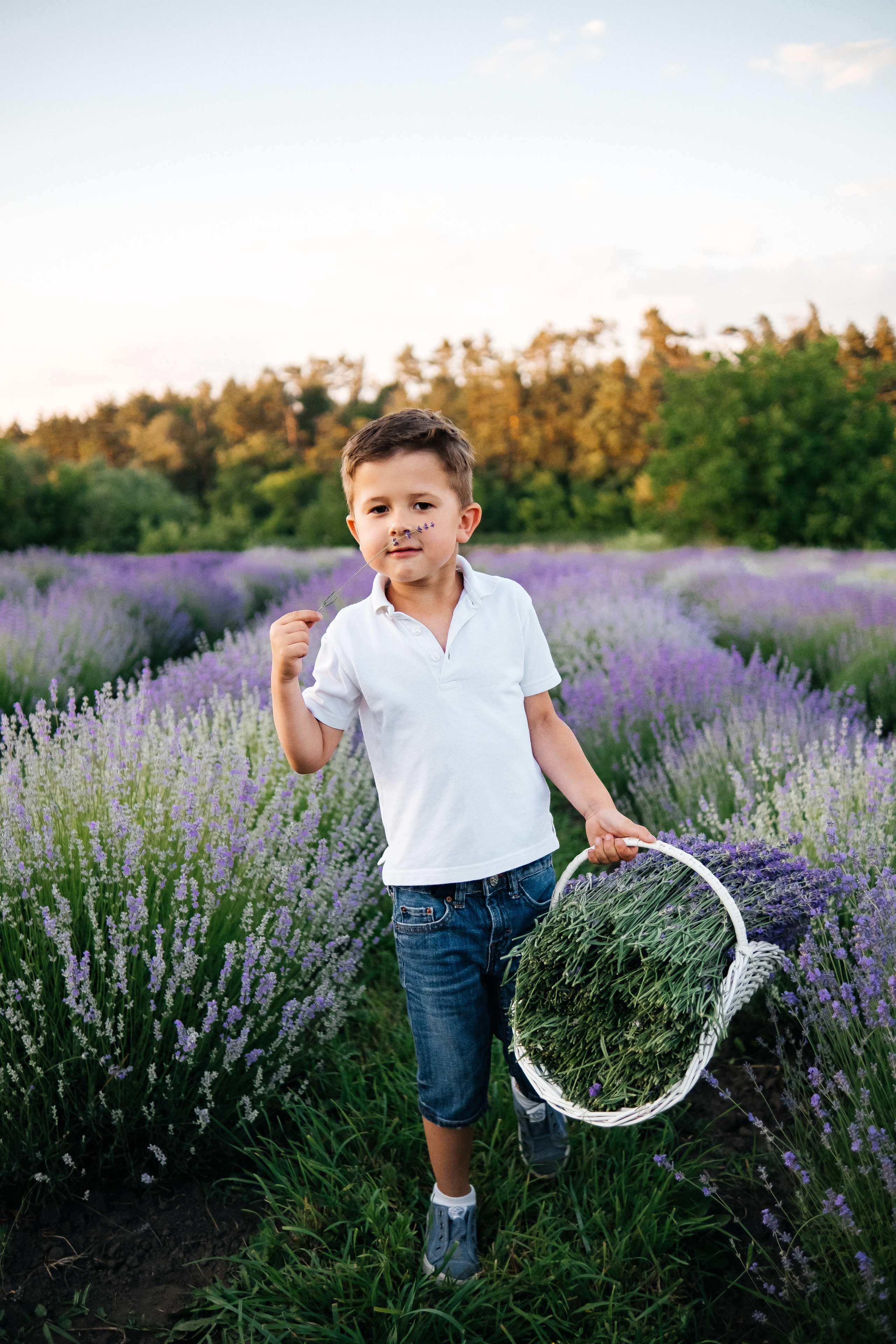 Lavanda. Плотиця Олександр. Весільний та сімейний фотограф
