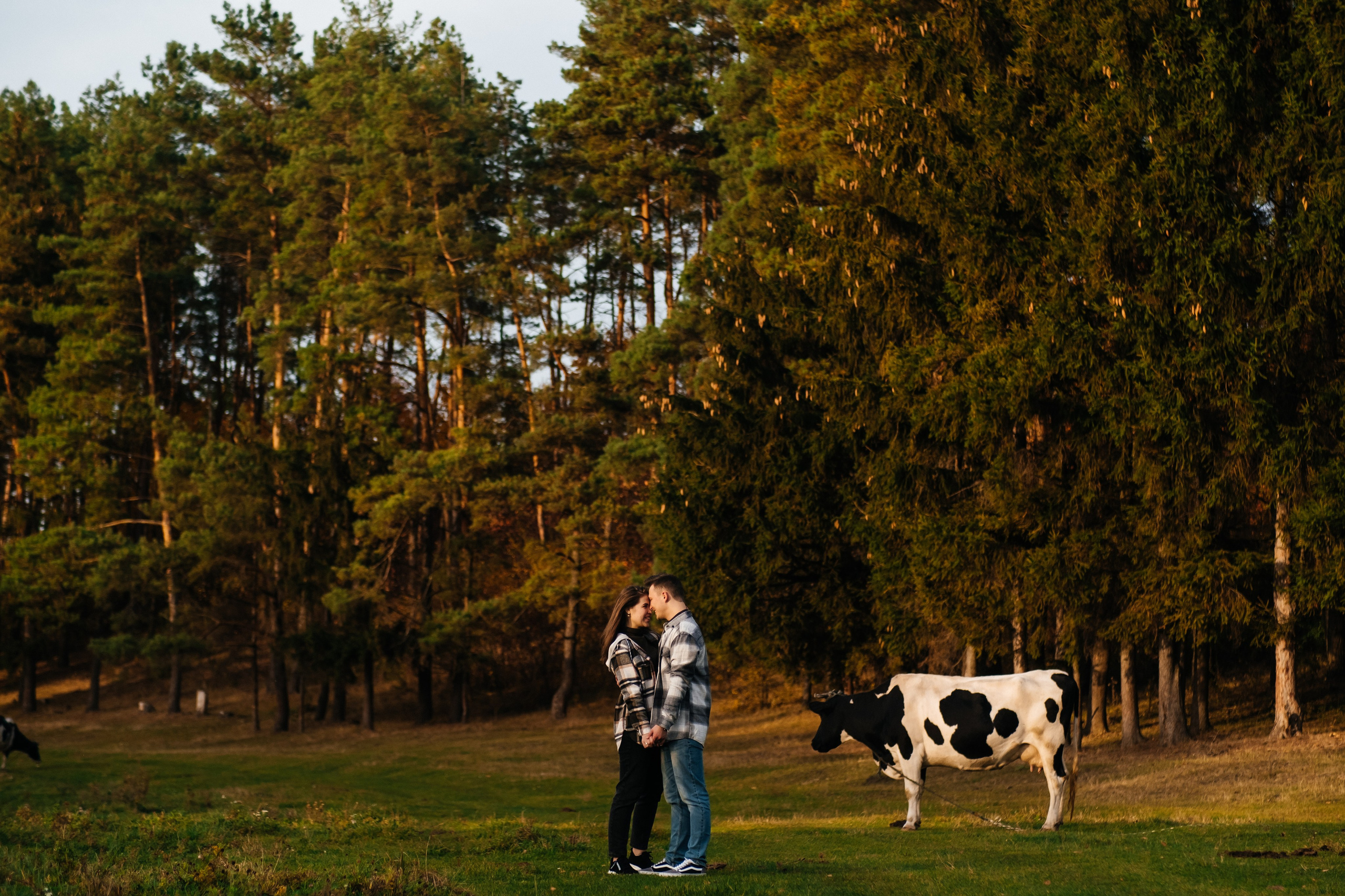 Вася І Таня. Плотиця Олександр. Весільний та сімейний фотограф
