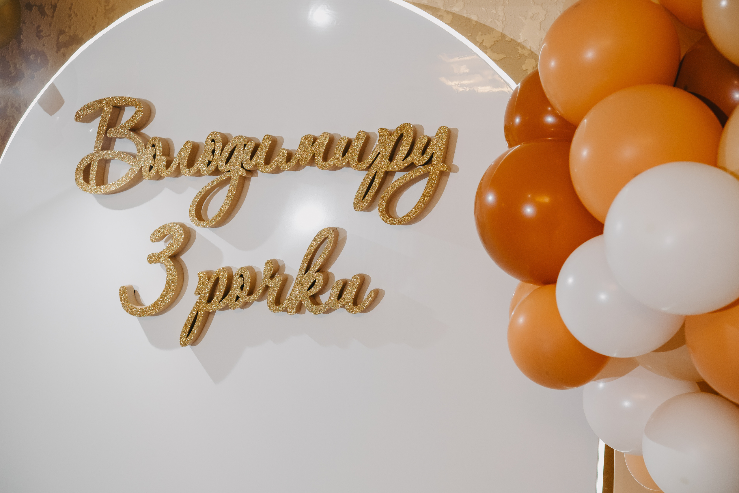 Володимиру 3. Плотиця Олександр. Весільний та сімейний фотограф