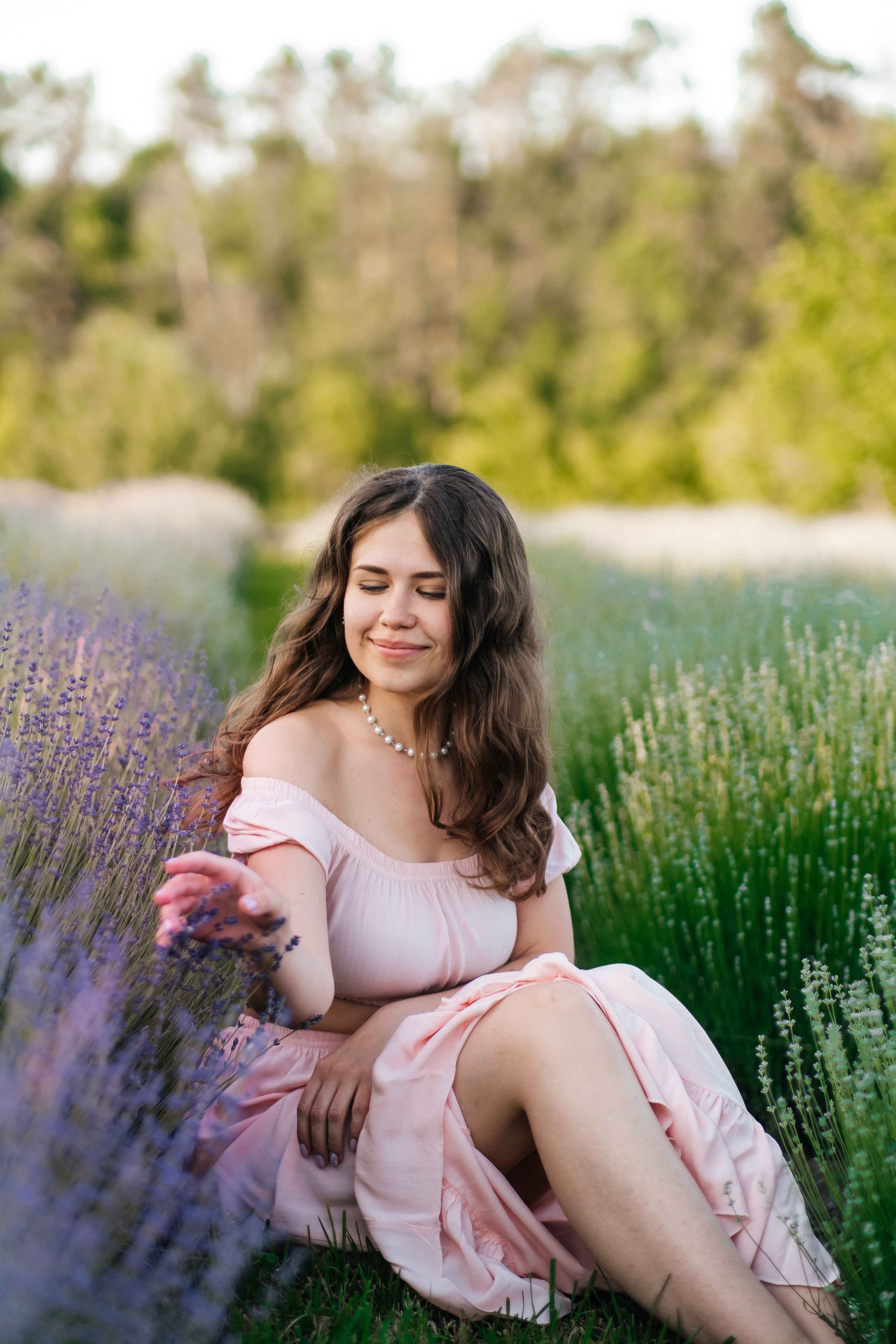 Вона сказала ТАК…. лавандове кохання. Плотиця Олександр. Весільний та сімейний фотограф