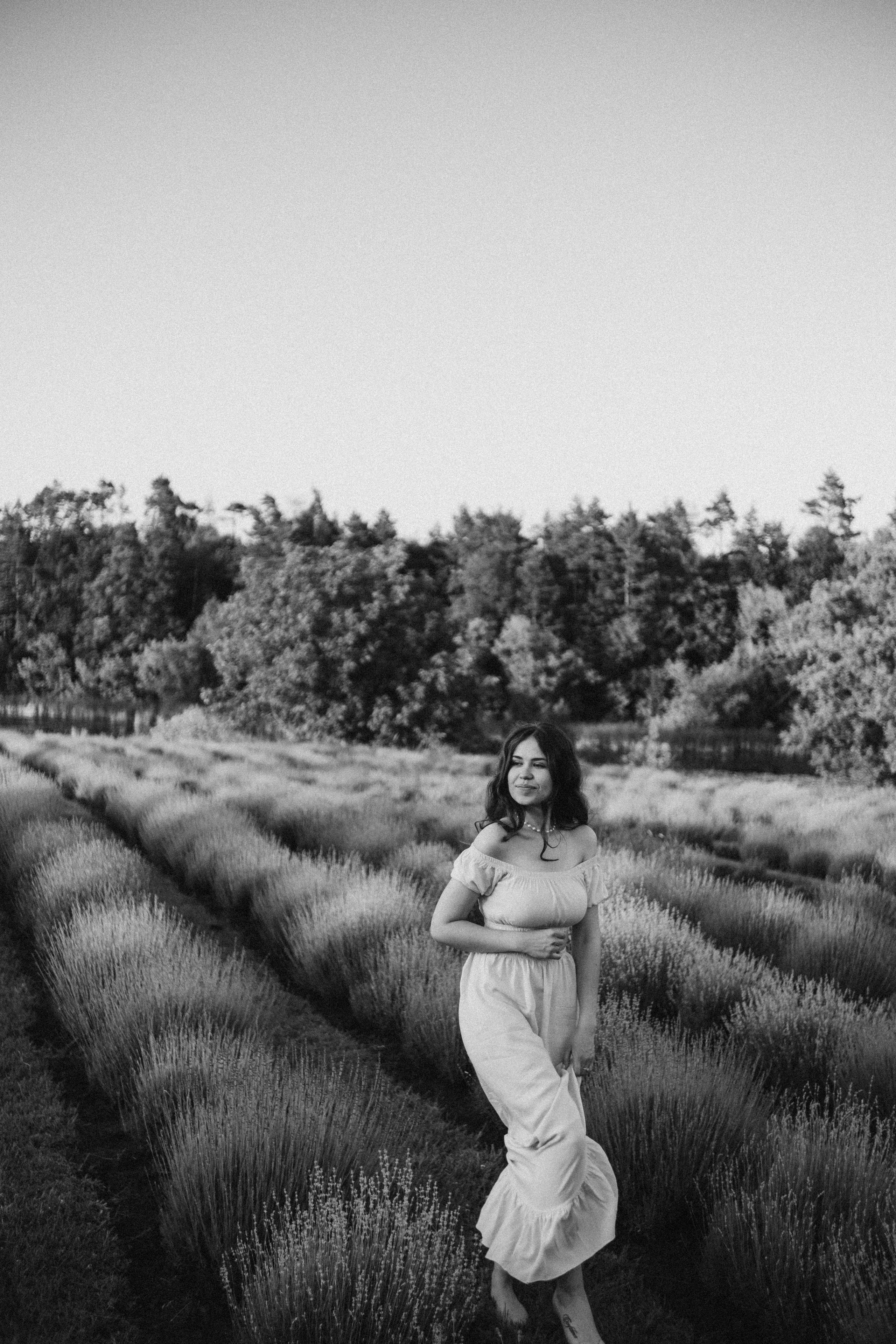 Вона сказала ТАК…. лавандове кохання. Плотиця Олександр. Весільний та сімейний фотограф