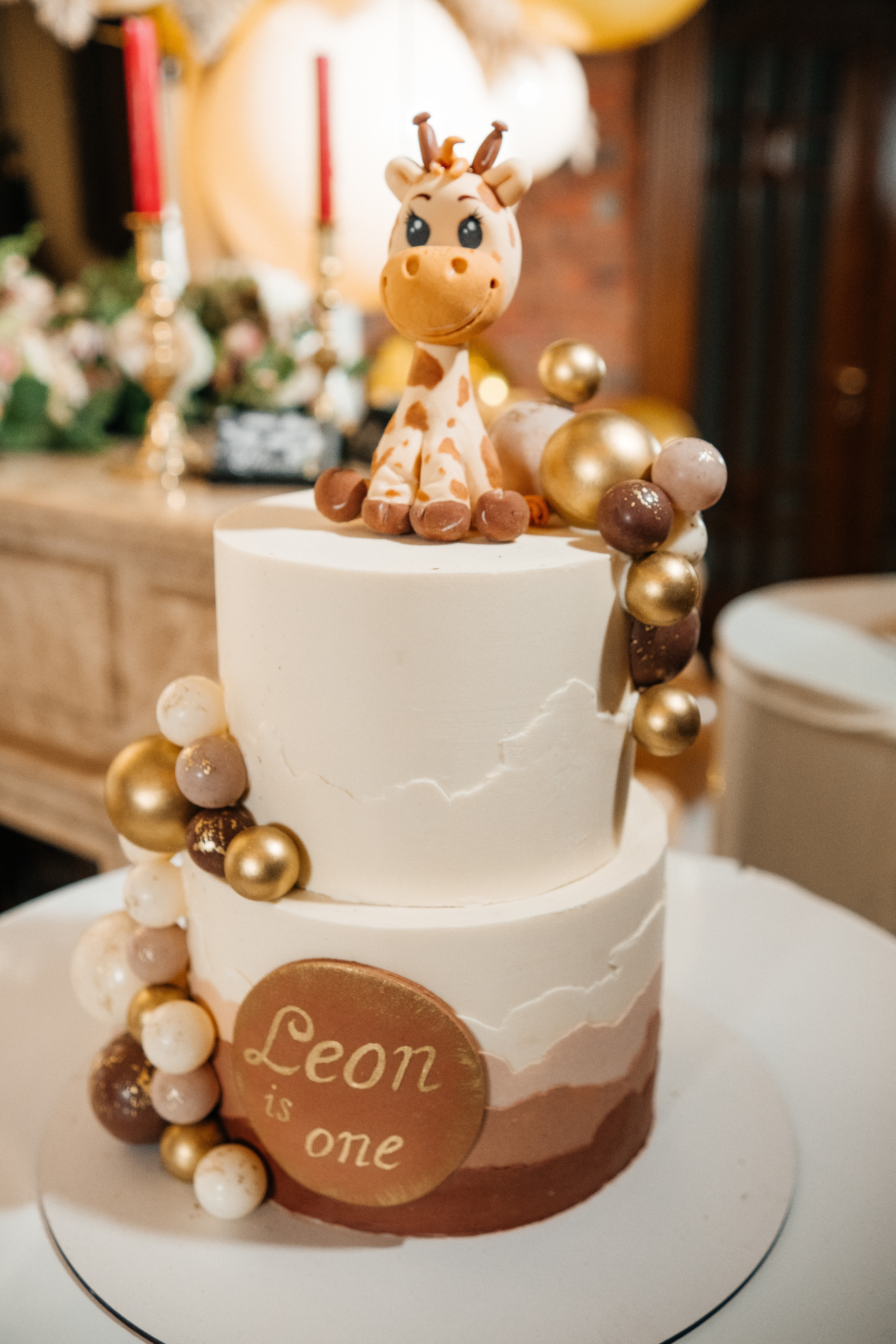 LEON 1 year. Плотиця Олександр. Весільний та сімейний фотограф