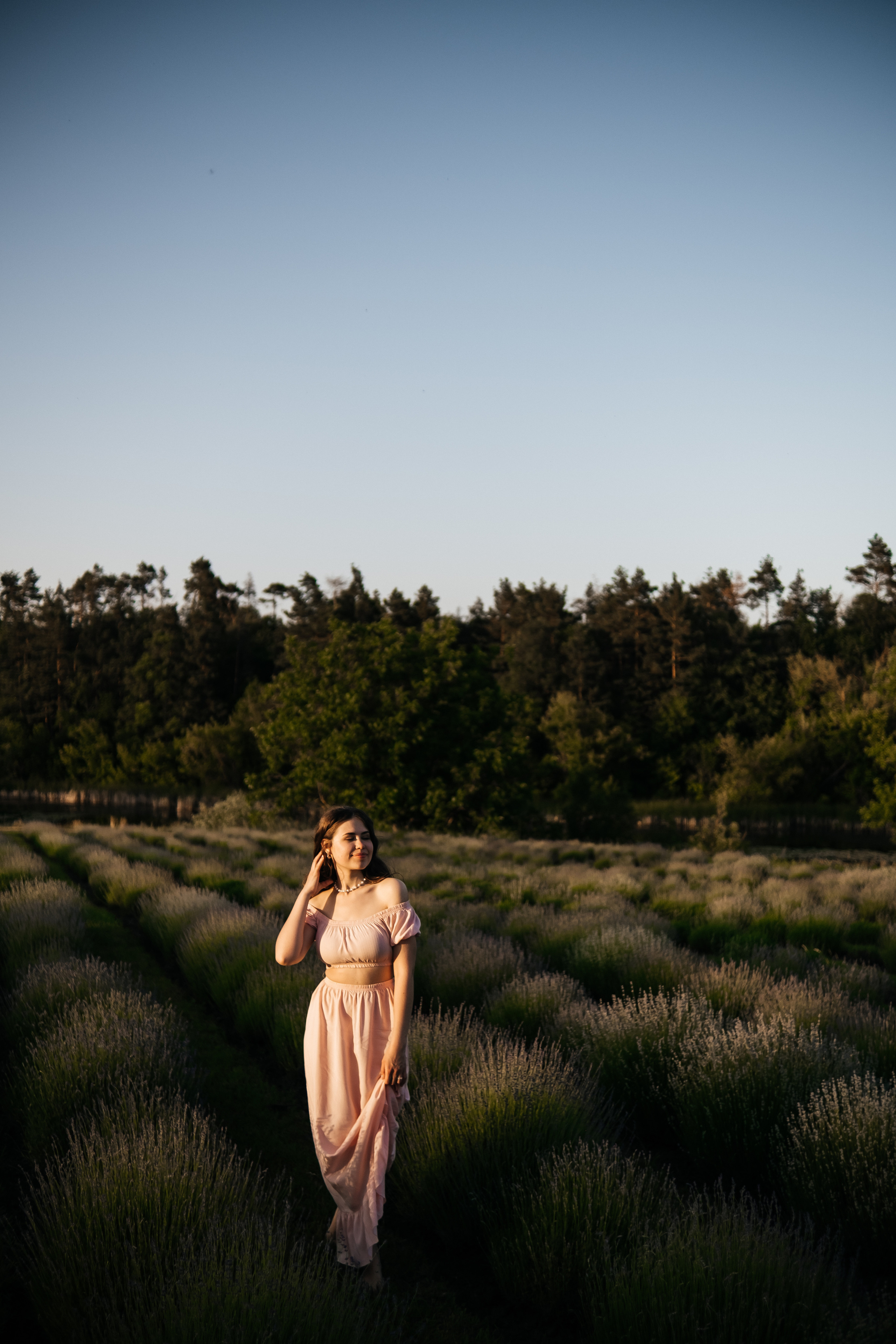 Вона сказала ТАК…. лавандове кохання. Плотиця Олександр. Весільний та сімейний фотограф