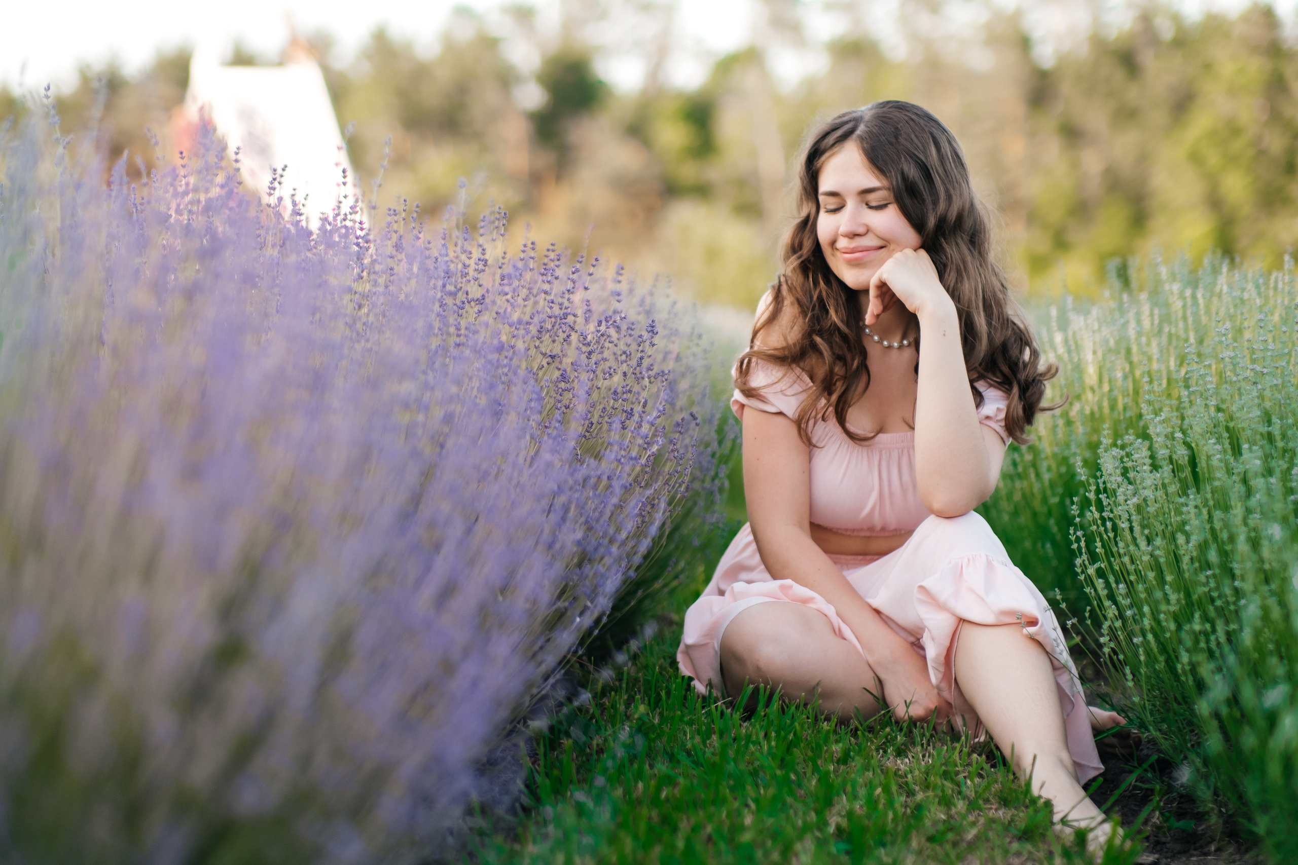Вона сказала ТАК…. лавандове кохання. Плотиця Олександр. Весільний та сімейний фотограф