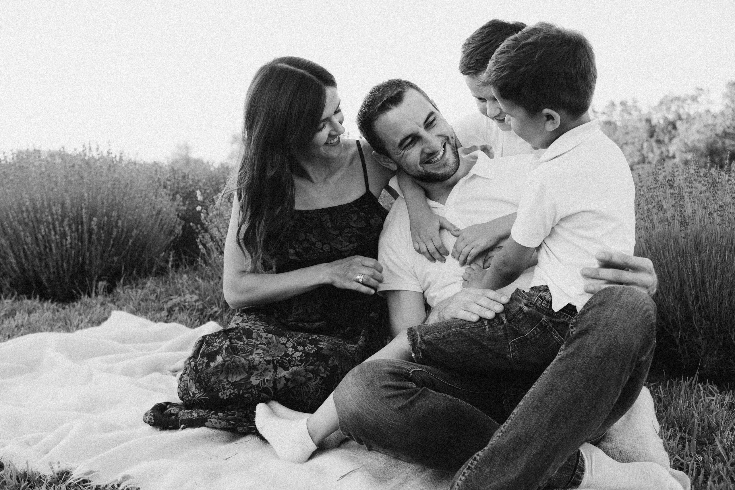 Lavanda. Плотиця Олександр. Весільний та сімейний фотограф