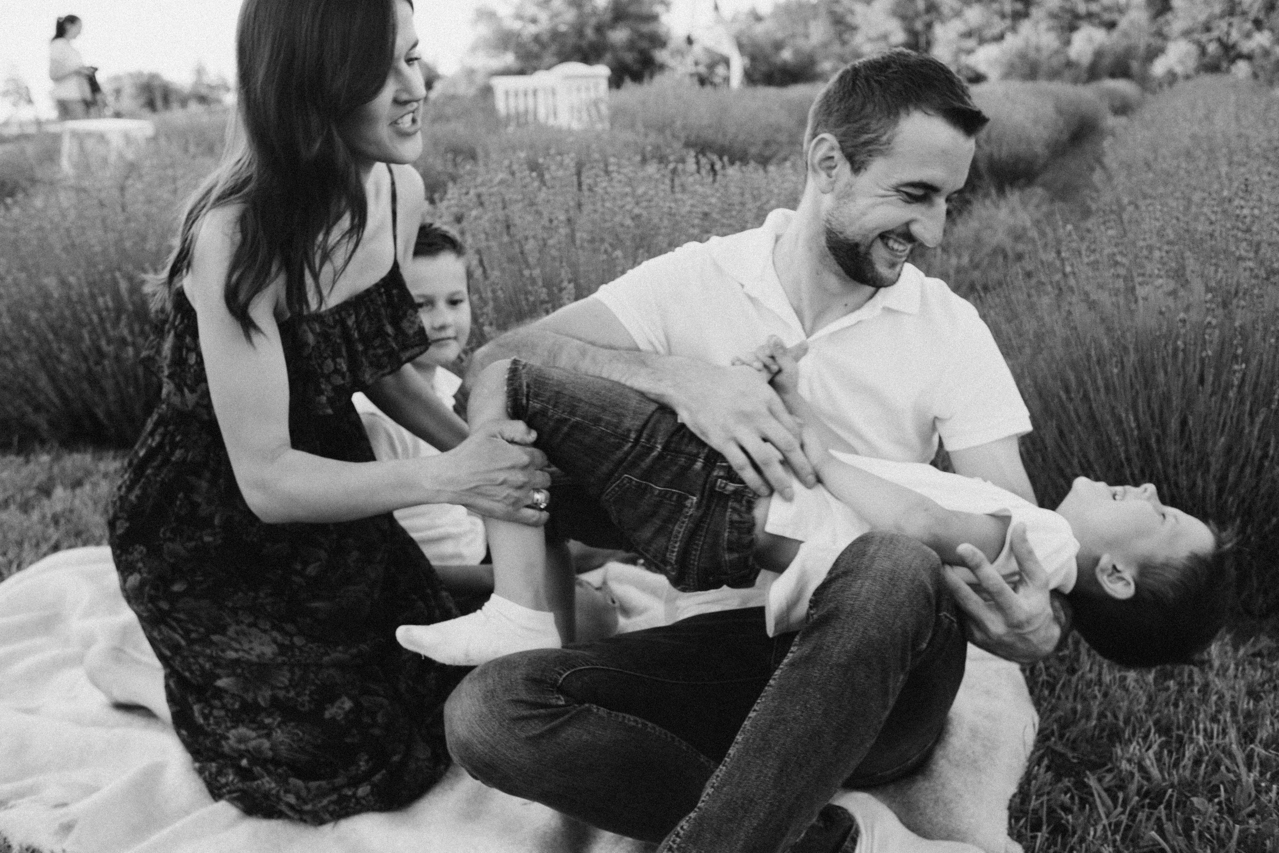 Lavanda. Плотиця Олександр. Весільний та сімейний фотограф