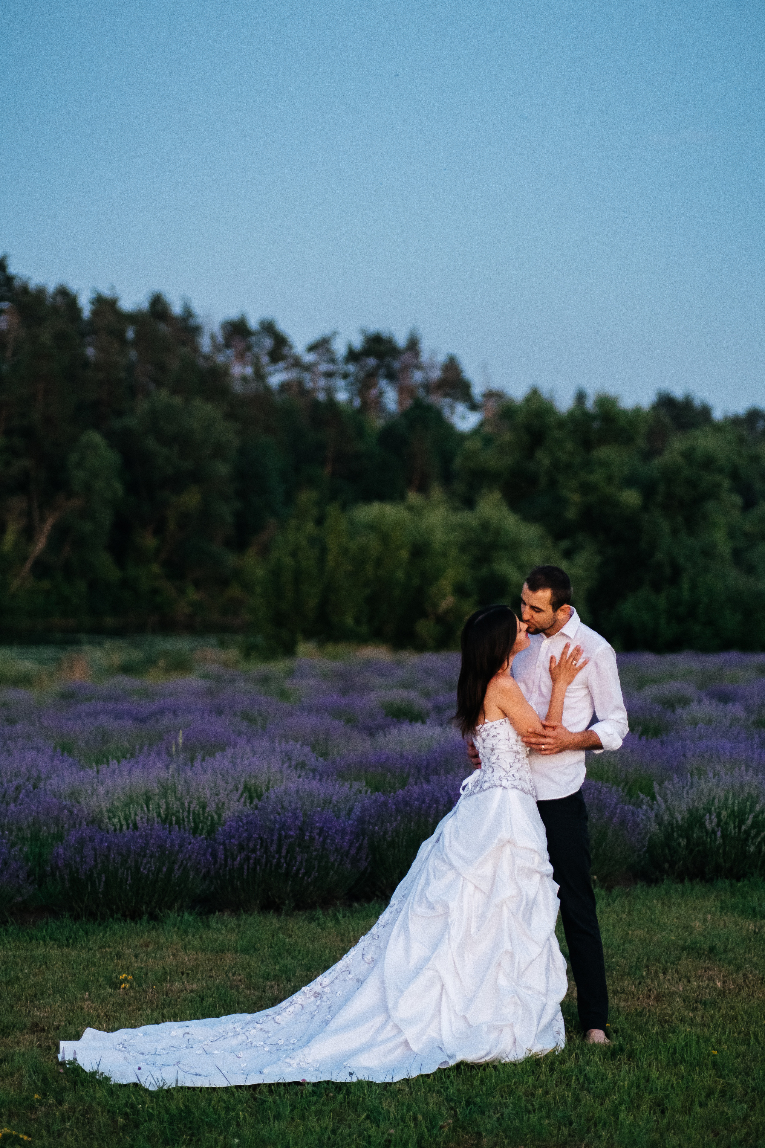 Lavanda. Плотиця Олександр. Весільний та сімейний фотограф