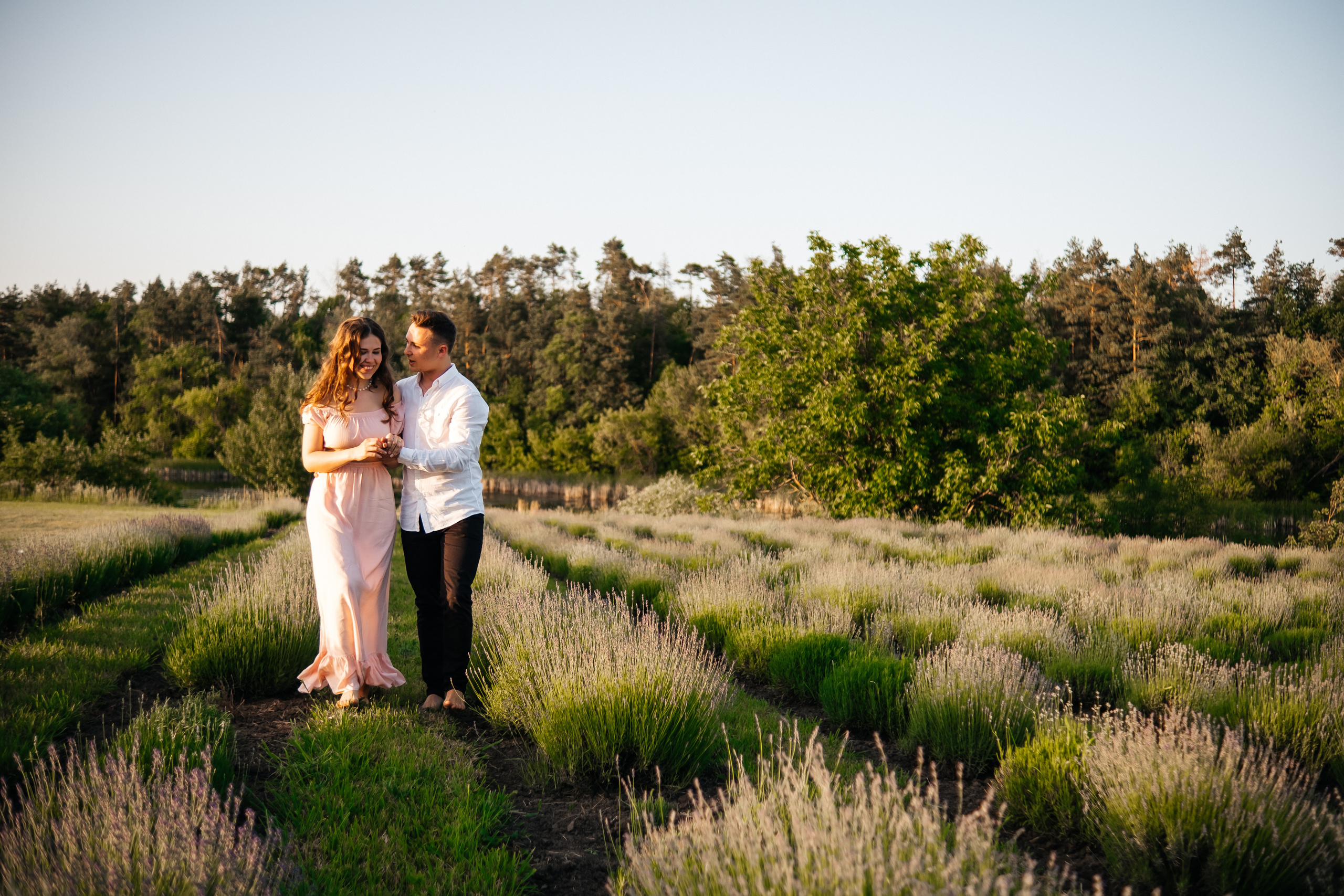 Вона сказала ТАК…. лавандове кохання. Плотиця Олександр. Весільний та сімейний фотограф