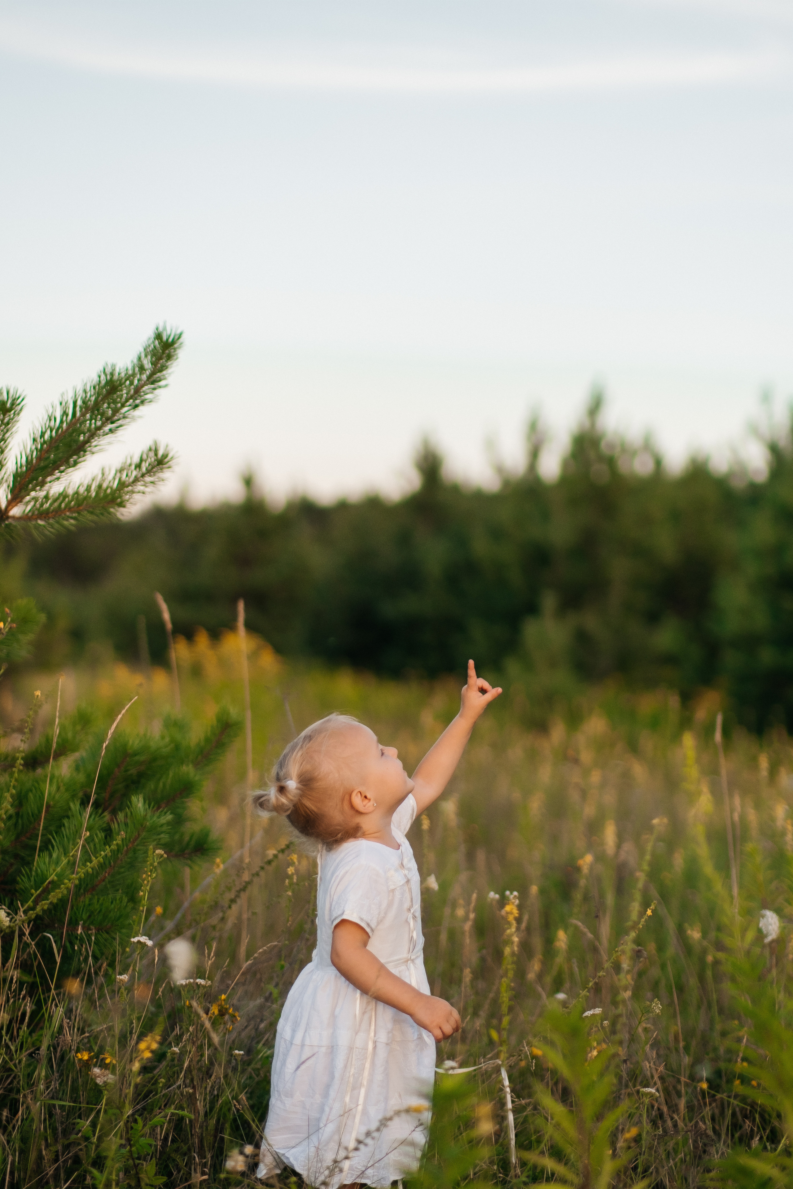 July 22. Плотиця Олександр. Весільний та сімейний фотограф