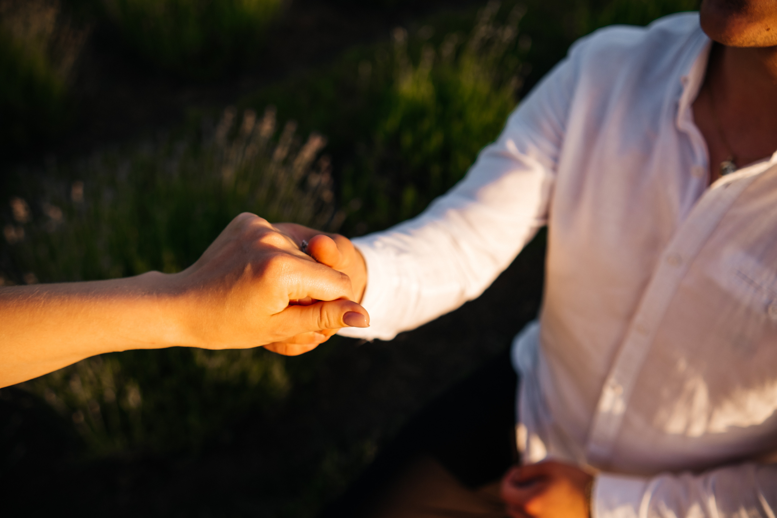 Вона сказала ТАК…. лавандове кохання. Плотиця Олександр. Весільний та сімейний фотограф