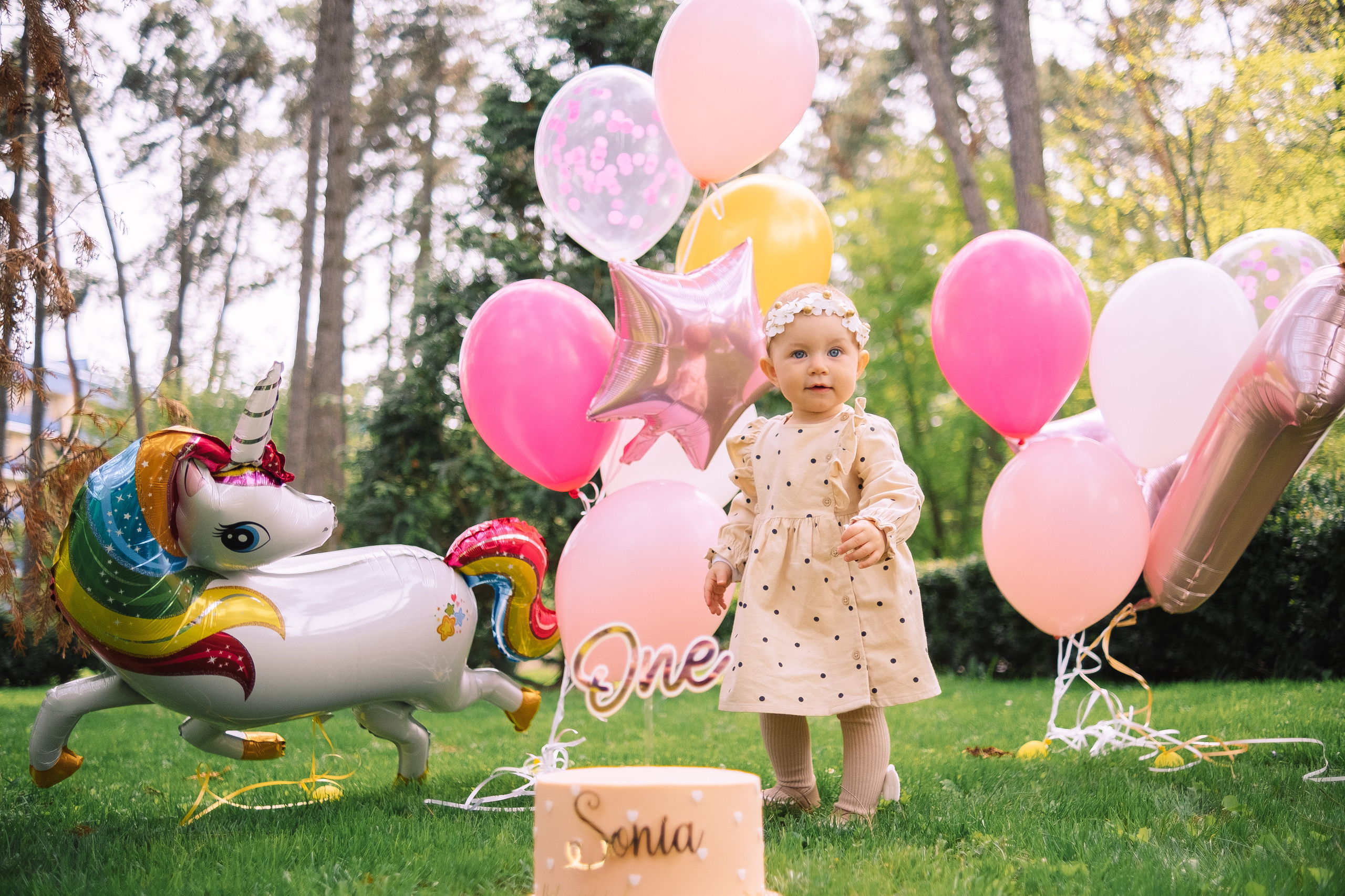 Sonia 1. Плотиця Олександр. Весільний та сімейний фотограф