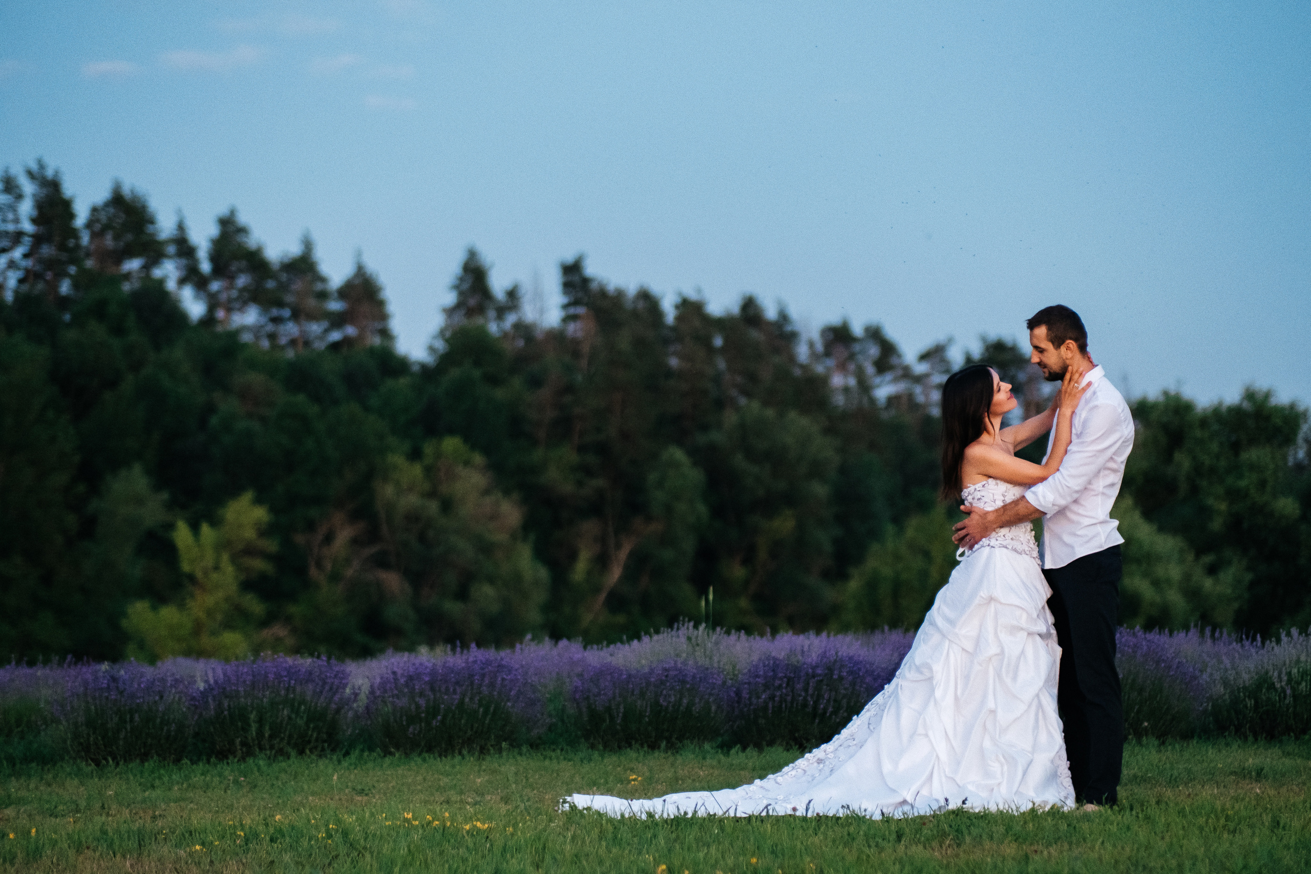 Lavanda. Плотиця Олександр. Весільний та сімейний фотограф