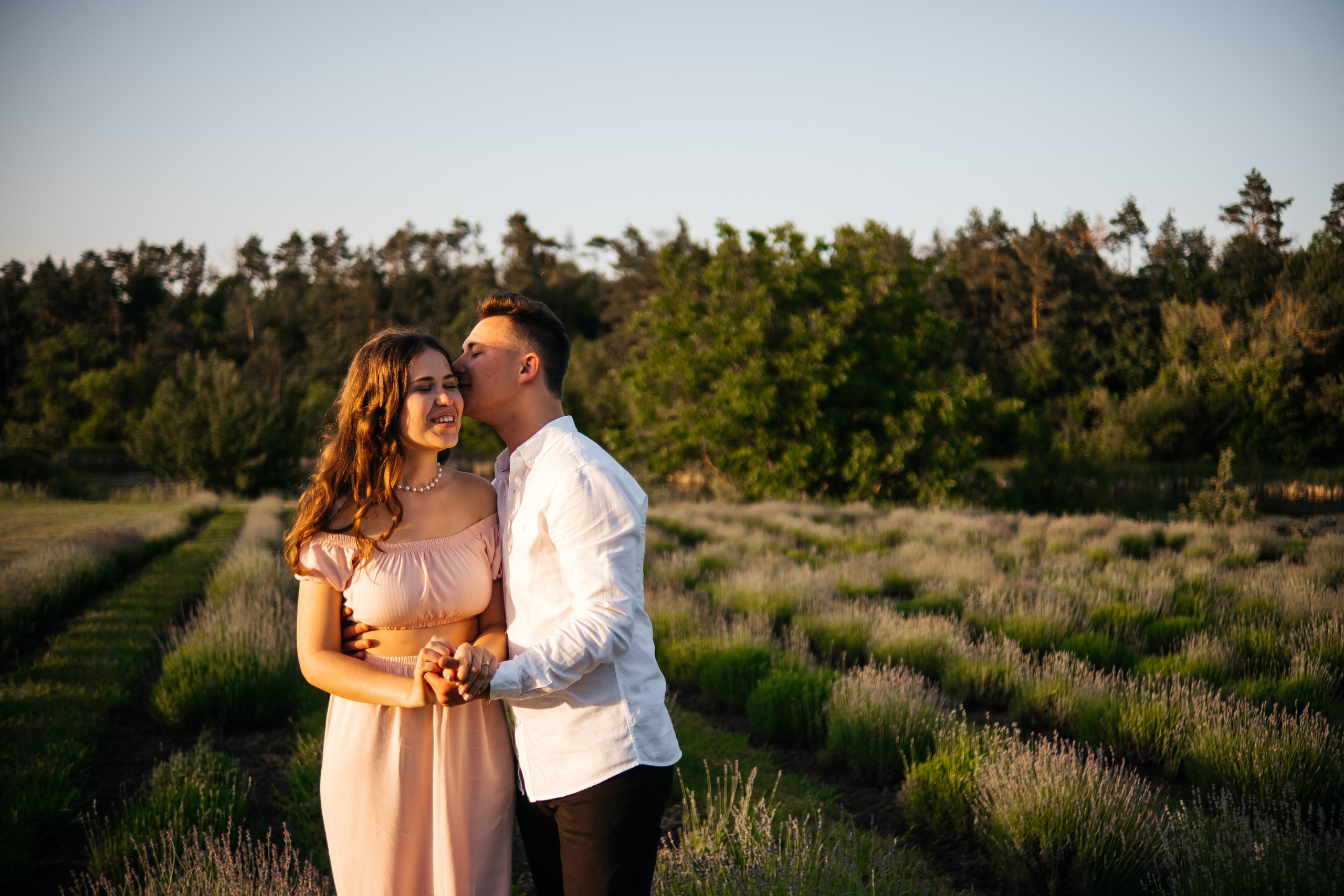 Вона сказала ТАК…. лавандове кохання. Плотиця Олександр. Весільний та сімейний фотограф