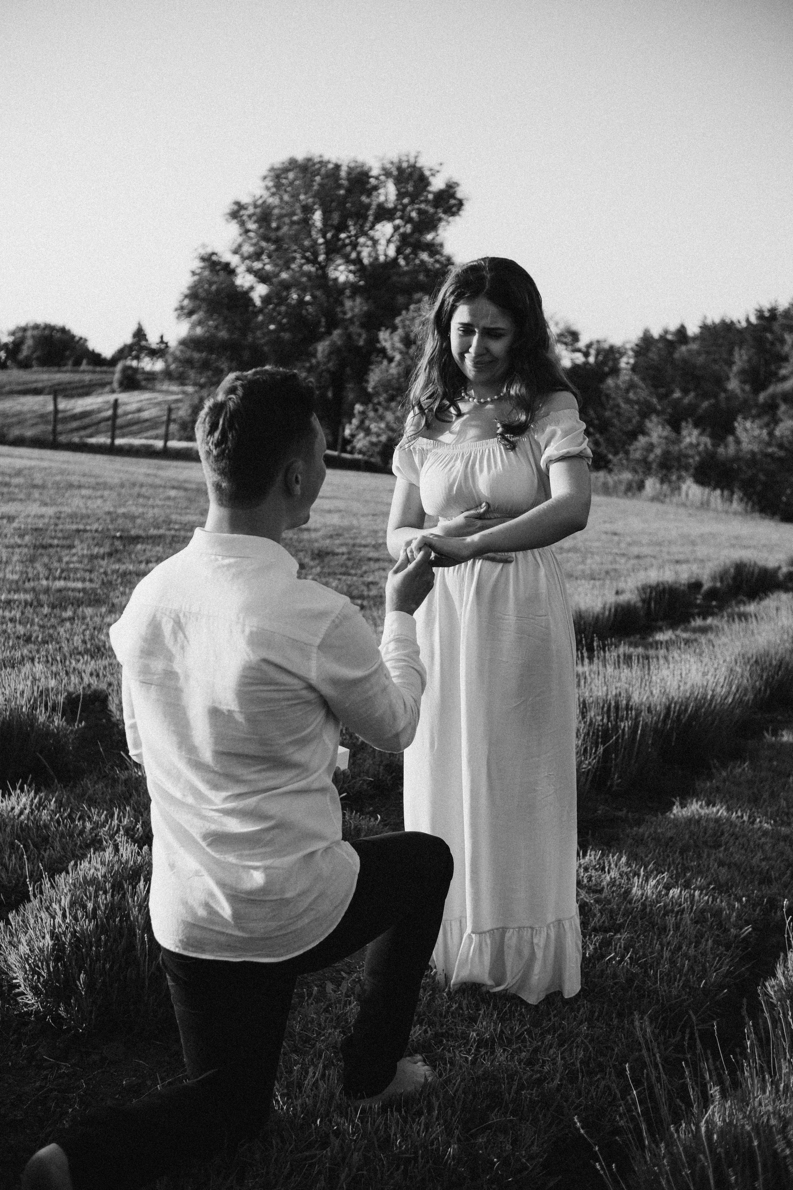 Вона сказала ТАК…. лавандове кохання. Плотиця Олександр. Весільний та сімейний фотограф