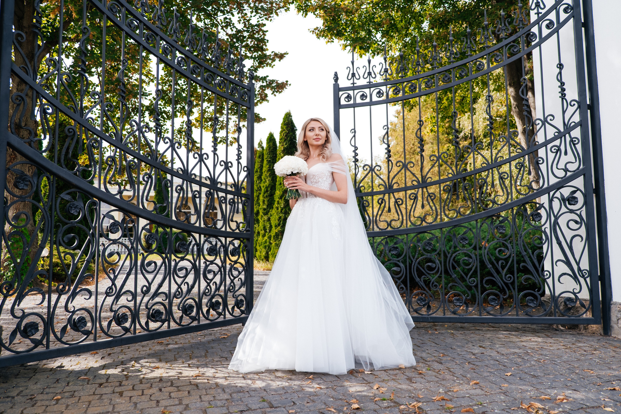 Наталія і Дмитро. Плотиця Олександр. Весільний та сімейний фотограф