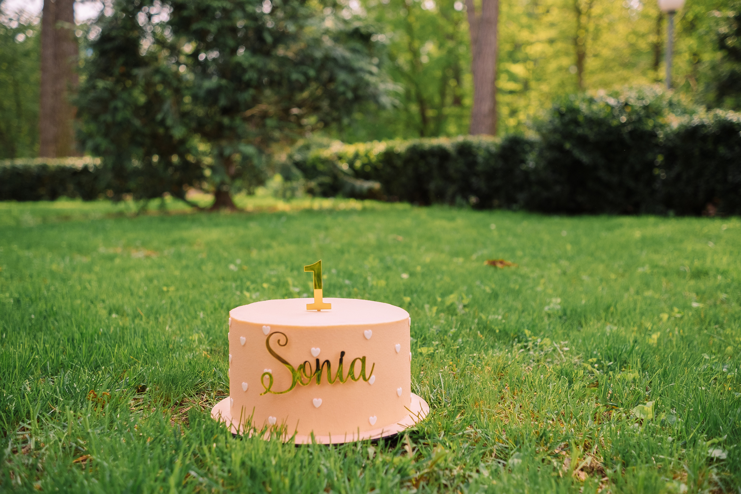 Sonia 1. Плотиця Олександр. Весільний та сімейний фотограф