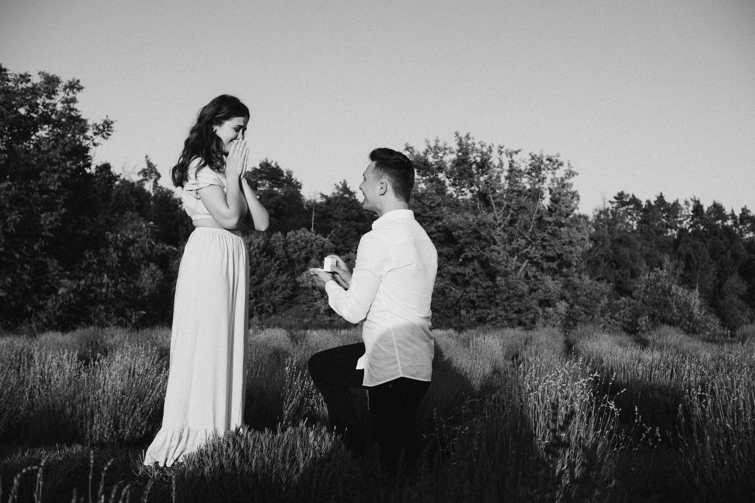 Вона сказала ТАК…. лавандове кохання. Плотиця Олександр. Весільний та сімейний фотограф