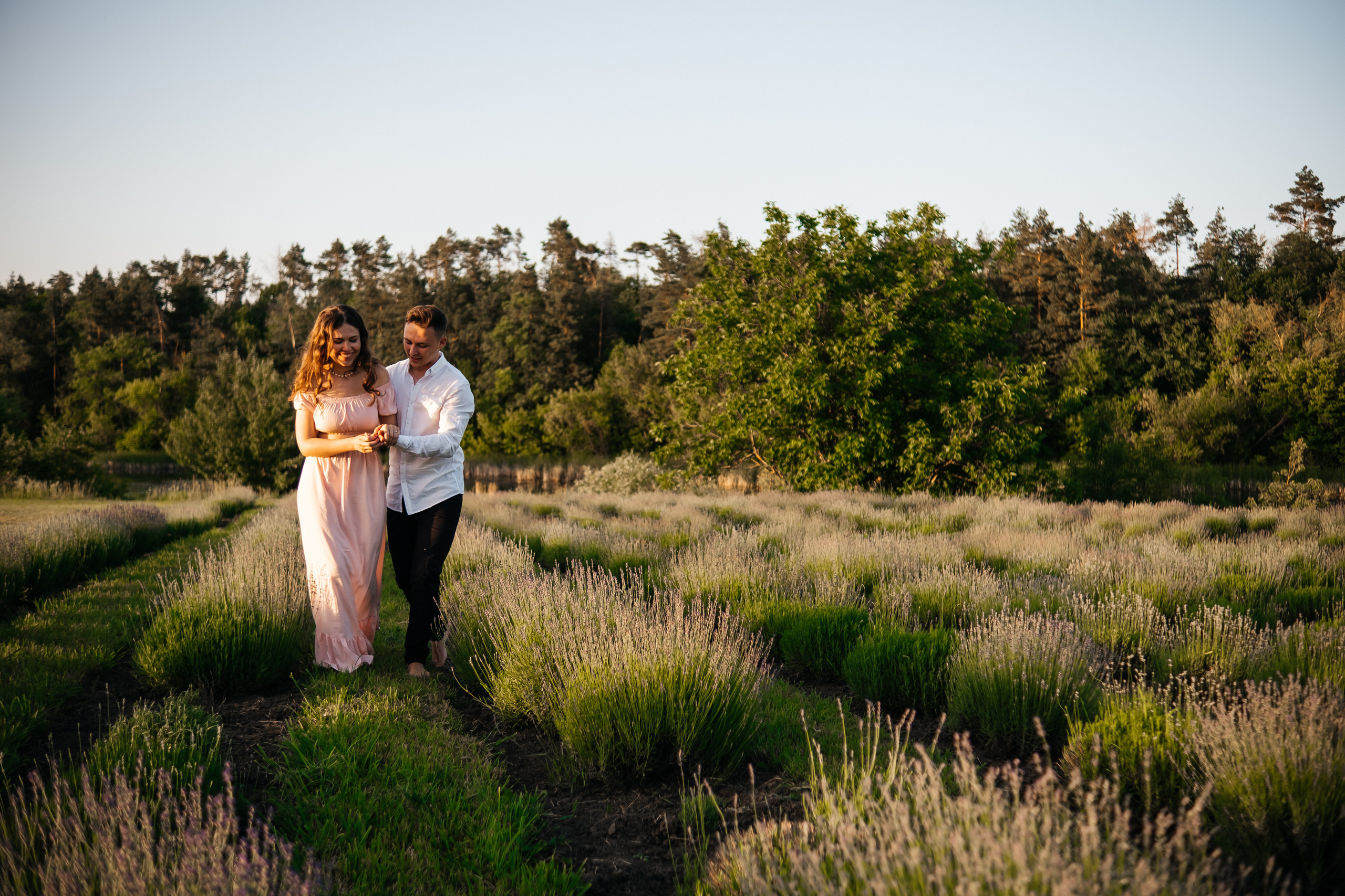 Вона сказала ТАК…. лавандове кохання. Плотиця Олександр. Весільний та сімейний фотограф