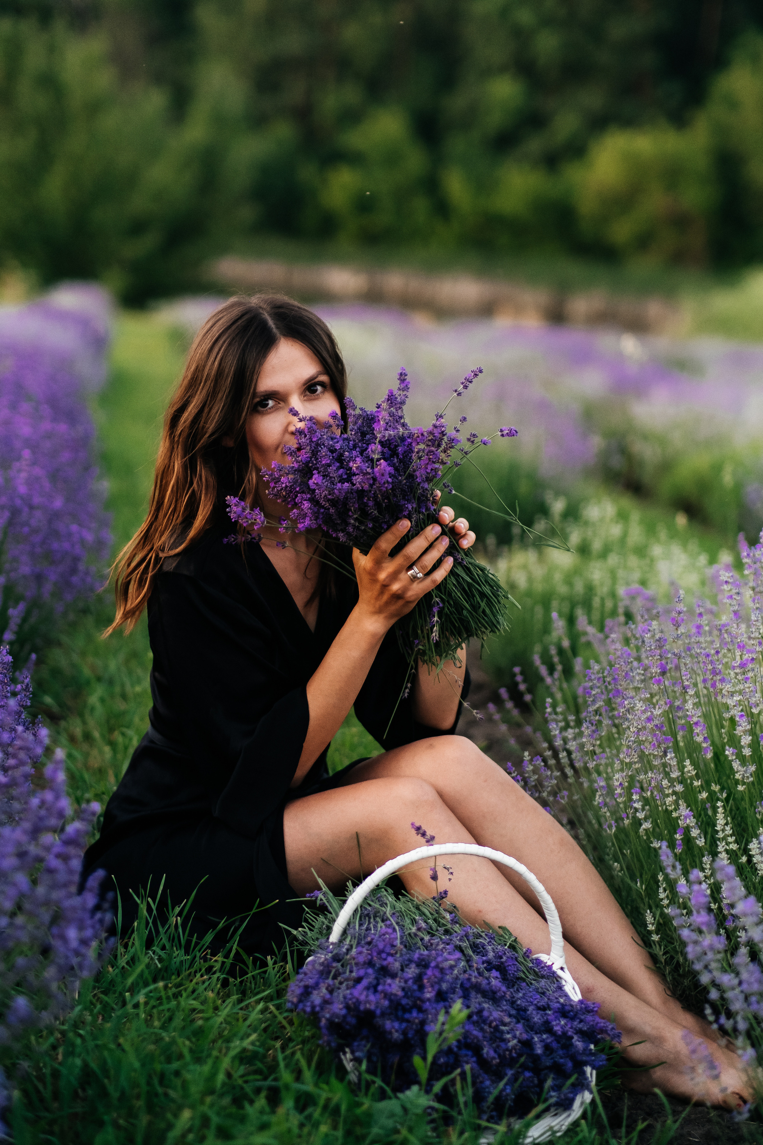Lavanda. Плотиця Олександр. Весільний та сімейний фотограф