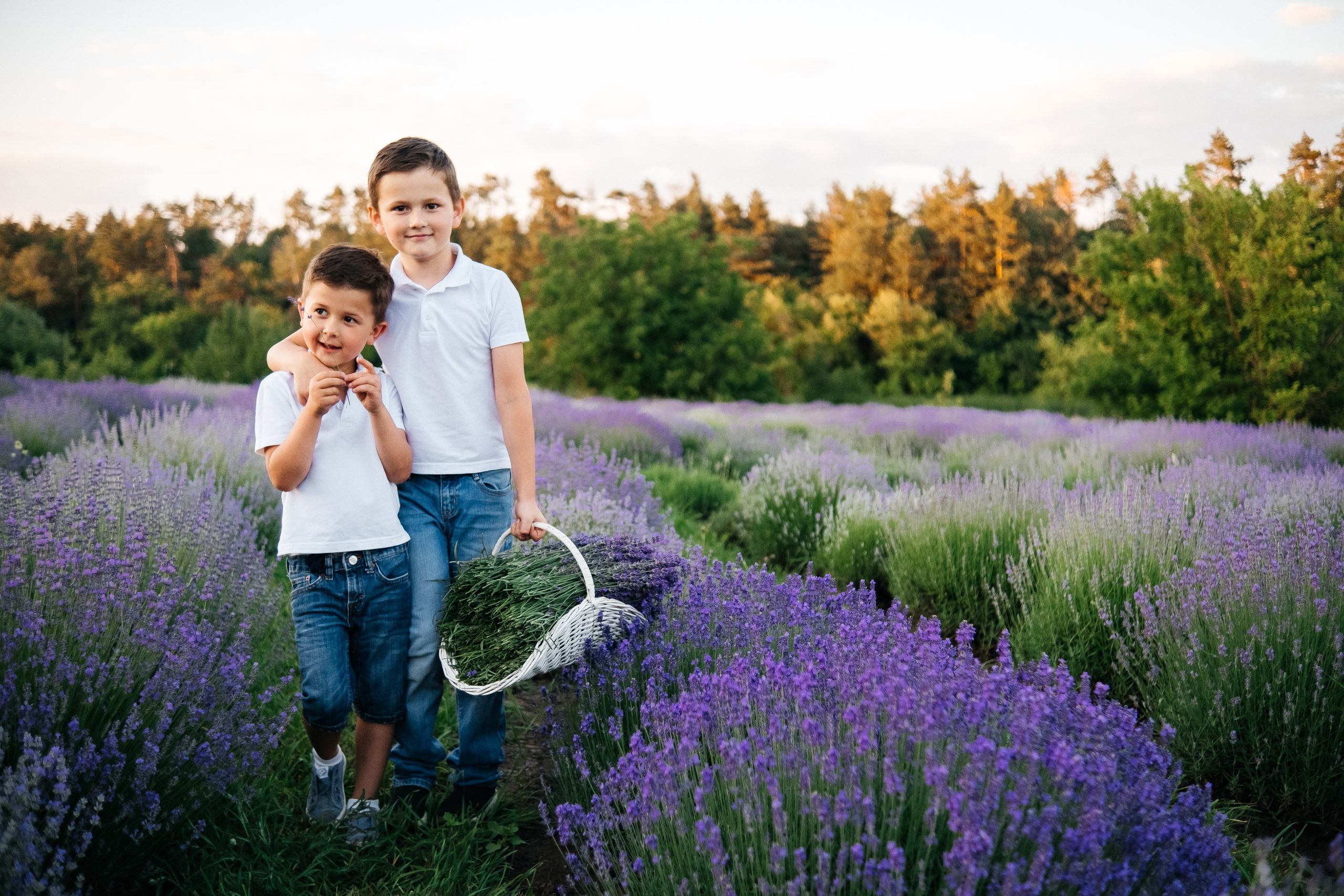 Lavanda. Плотиця Олександр. Весільний та сімейний фотограф