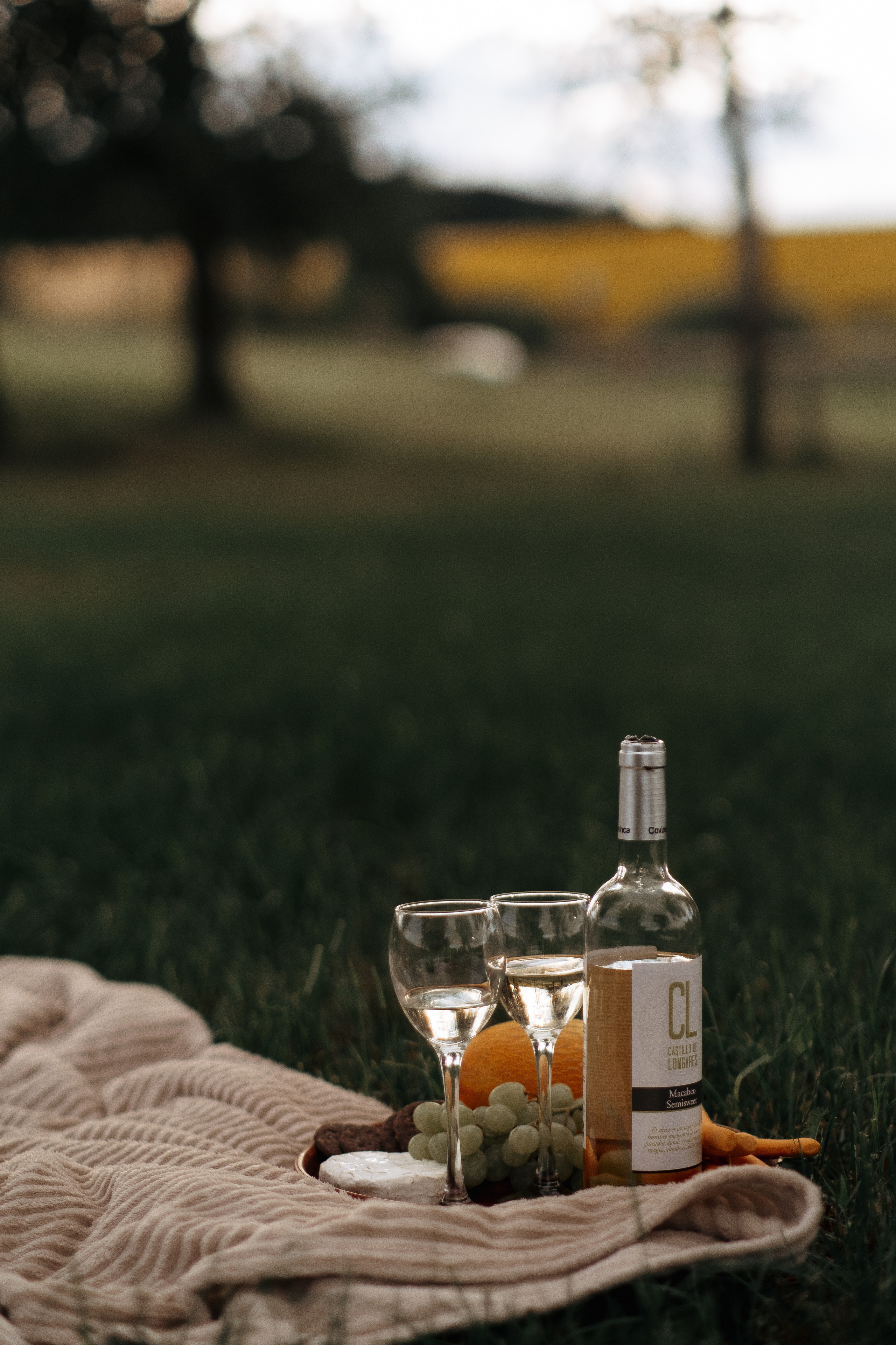 Іванна та Сергій. Плотиця Олександр. Весільний та сімейний фотограф