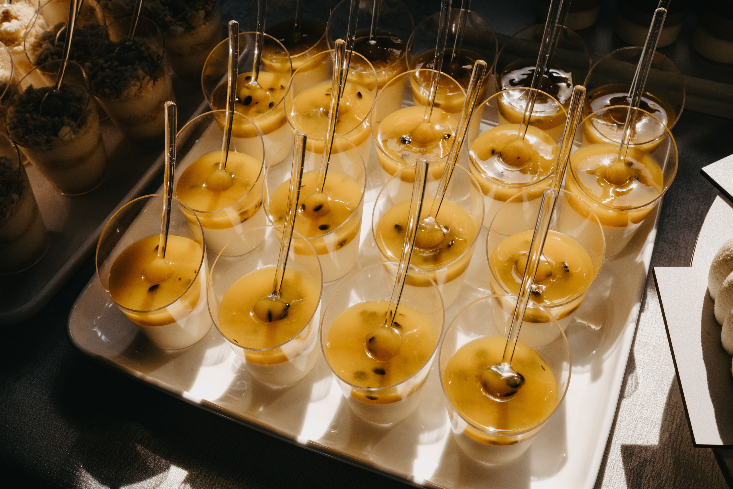 Іра & Коля. Плотиця Олександр. Весільний та сімейний фотограф