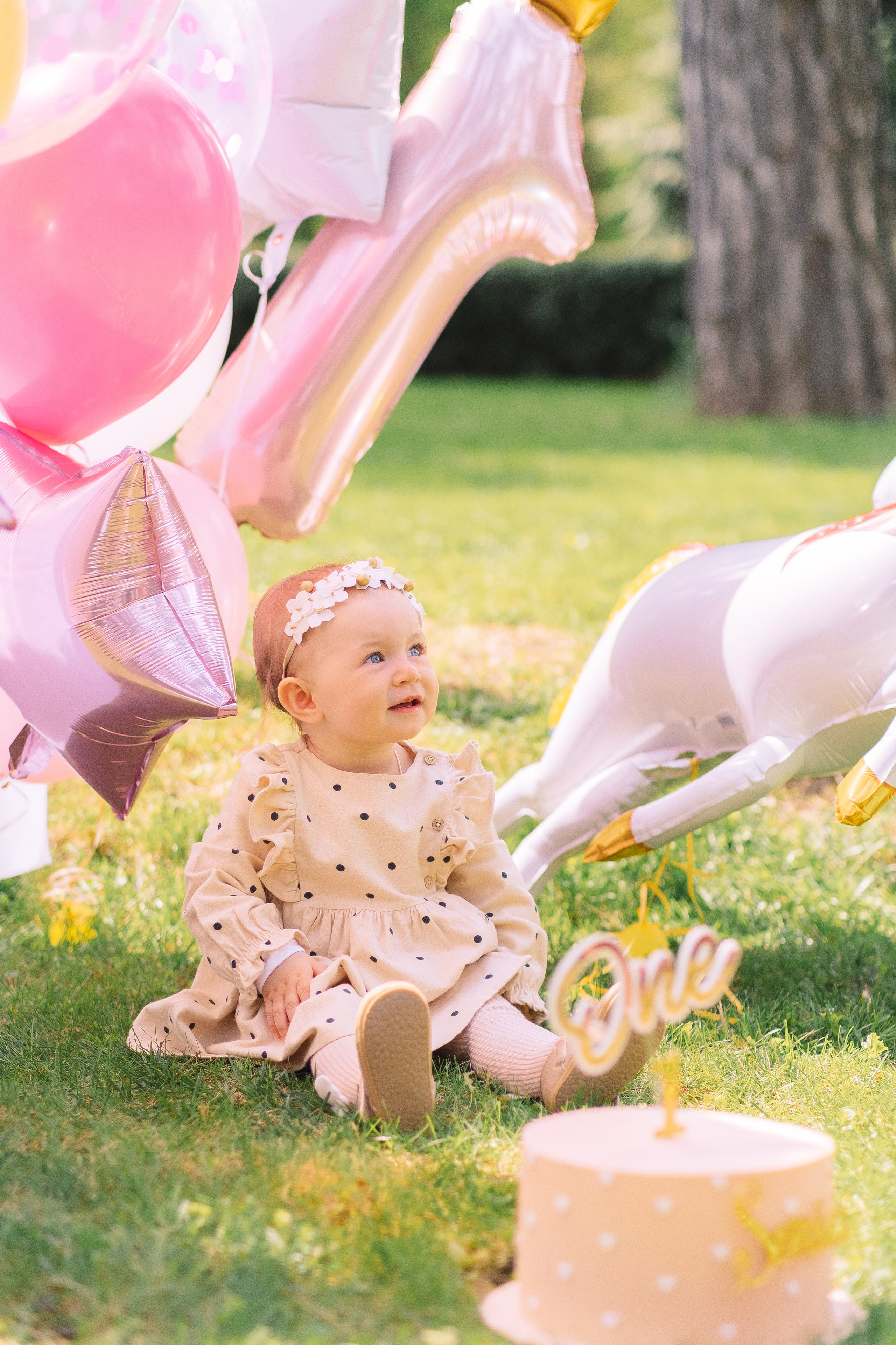 Sonia 1. Плотиця Олександр. Весільний та сімейний фотограф