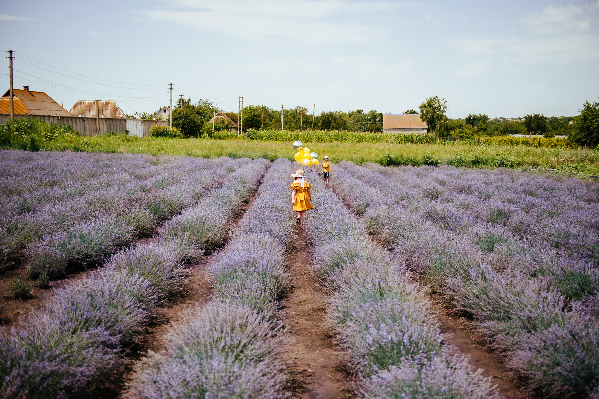 Зйомка у лаванді. Весільний та сімейний фотограф у Запоріжжі Юлія Васьків