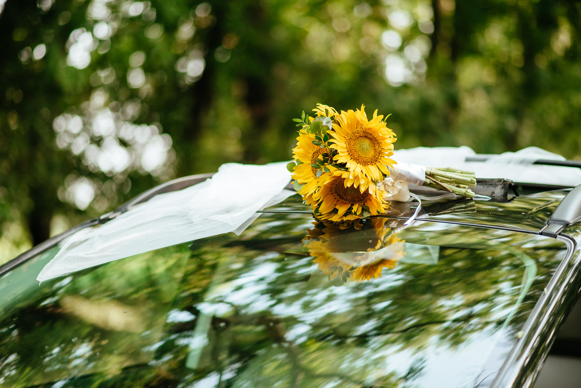 Свадьба в стиле путешествий. Весільний та сімейний фотограф у Запоріжжі Юлія Васьків