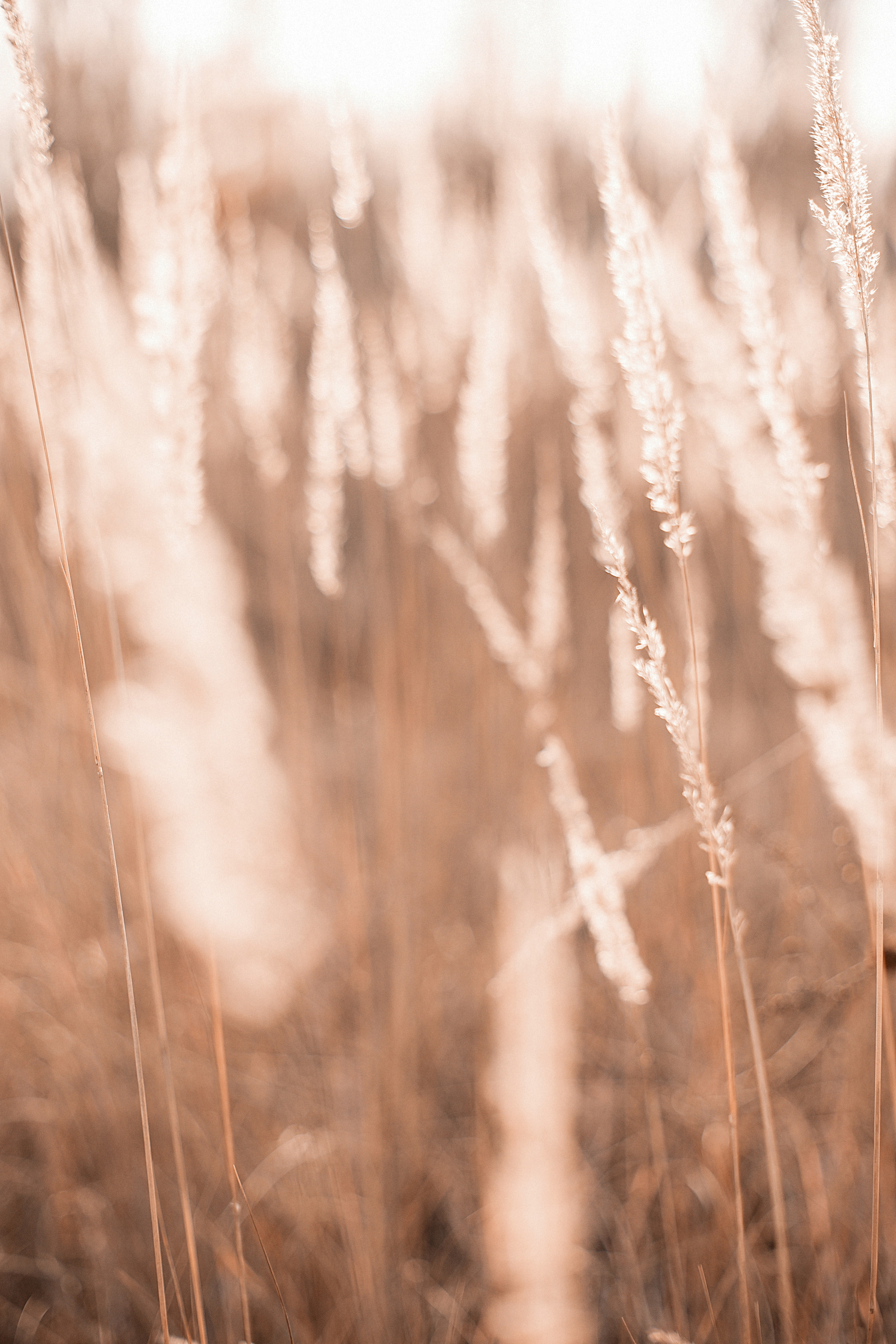 Фотосессии. Фотограф Аня Самофалова