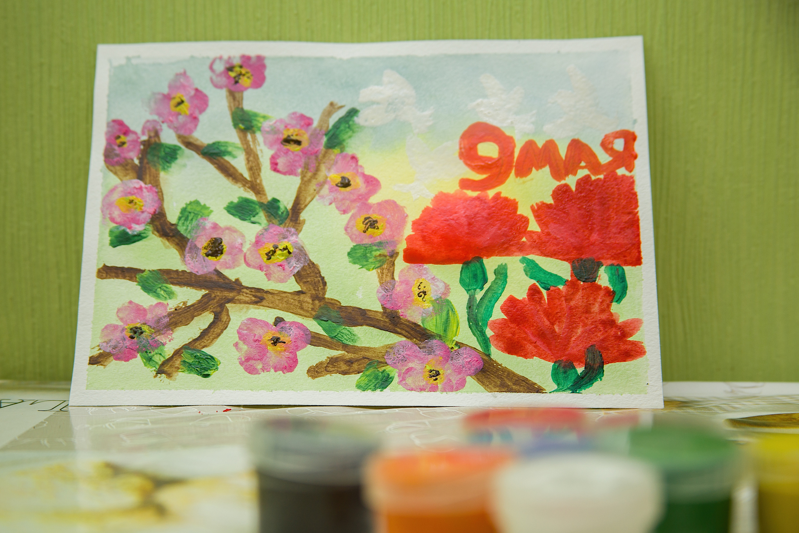 Фотосессии. Фотограф Аня Самофалова