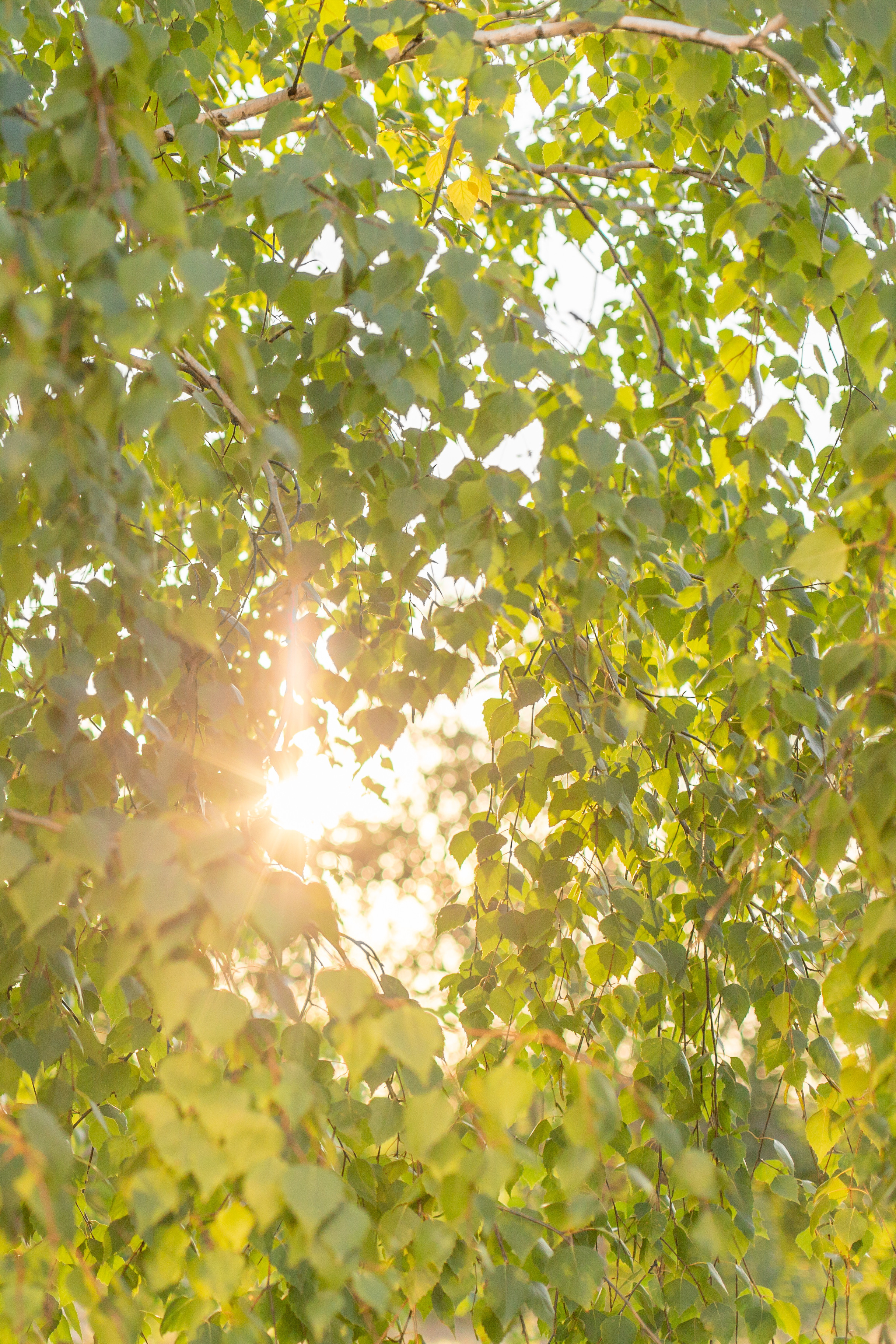 Фотосессии. Фотограф Аня Самофалова