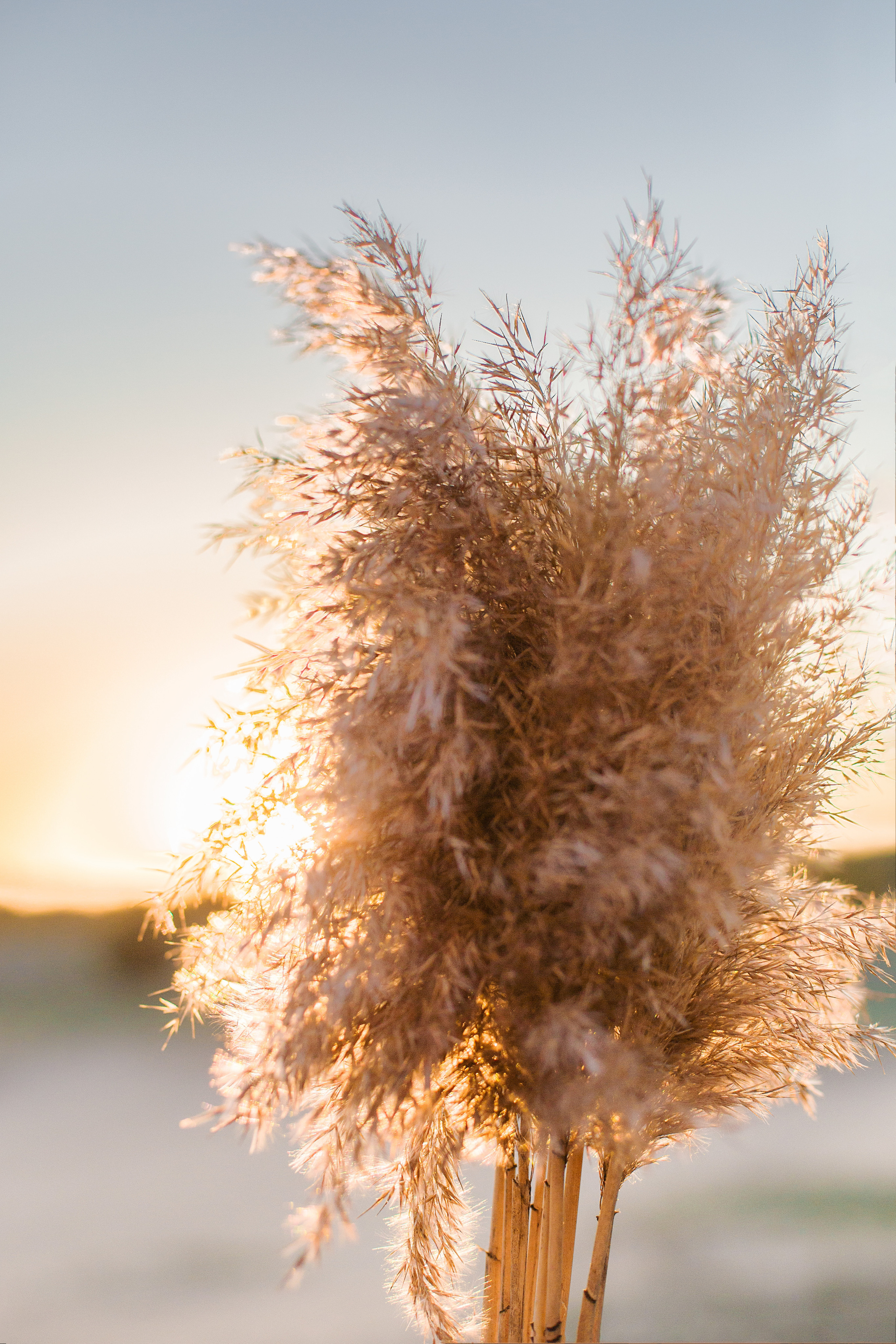 Фотосессии. Фотограф Аня Самофалова