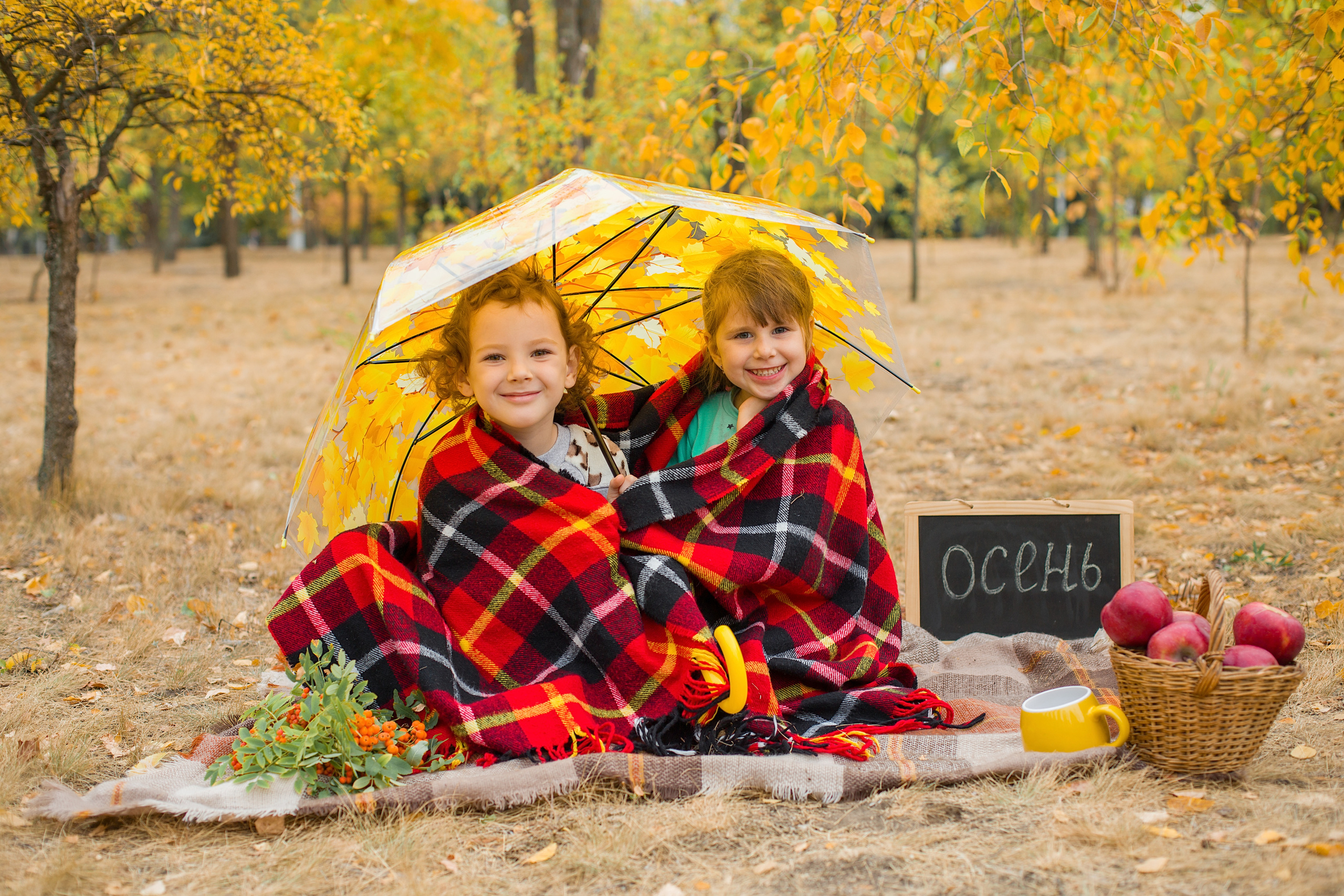 Фотосессии. Фотограф Аня Самофалова