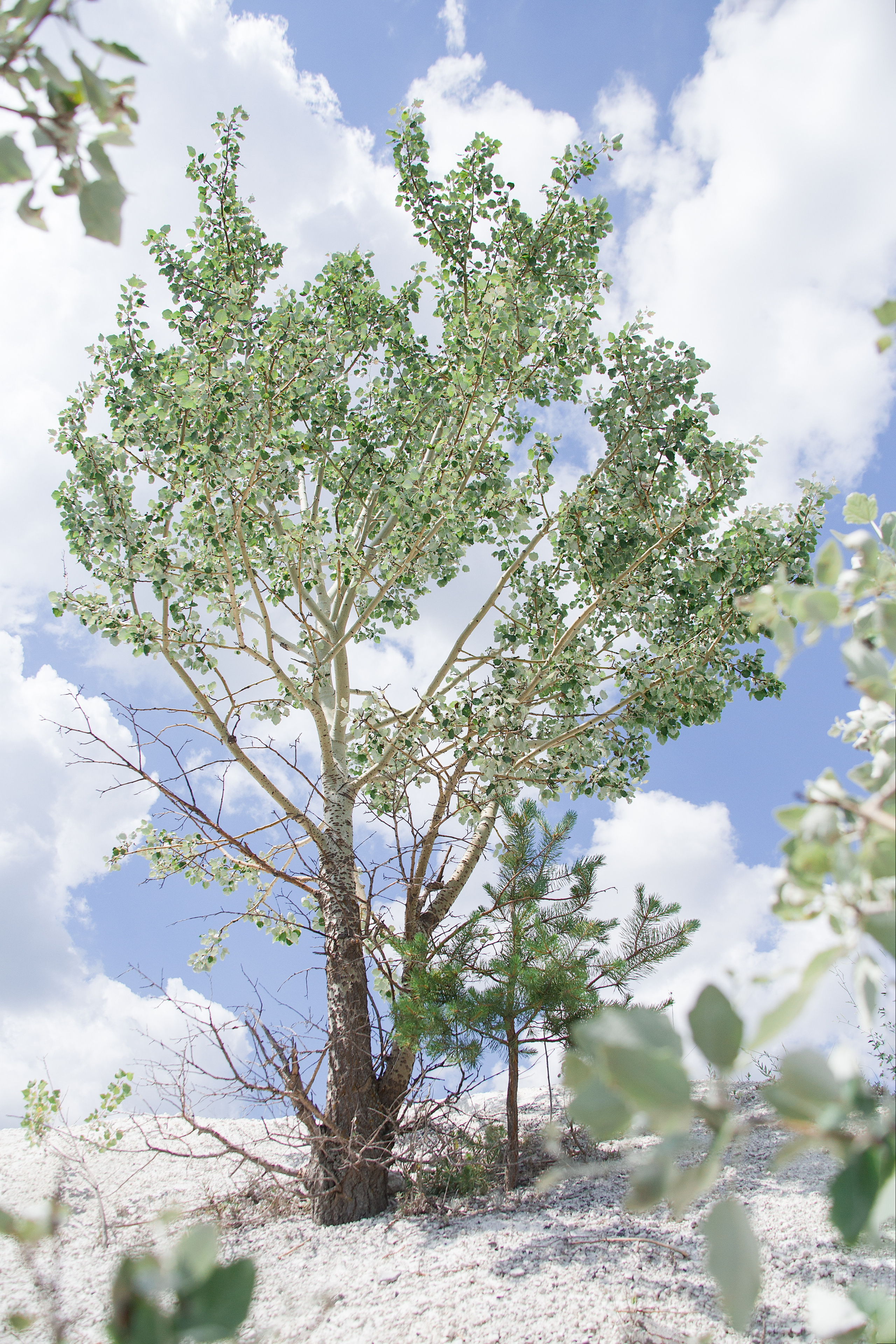 Фотосессии. Фотограф Аня Самофалова