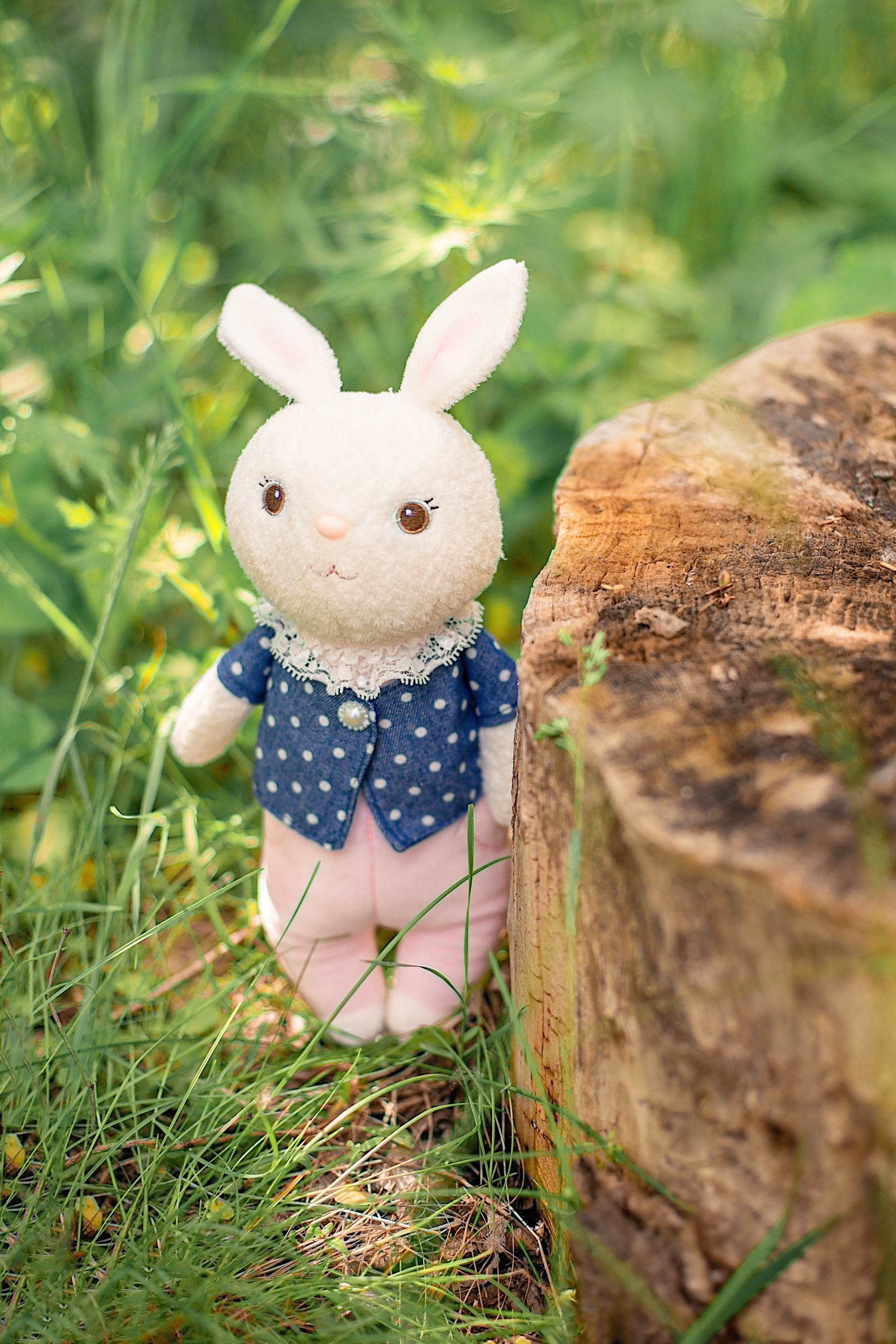 Фотосессии. Фотограф Аня Самофалова