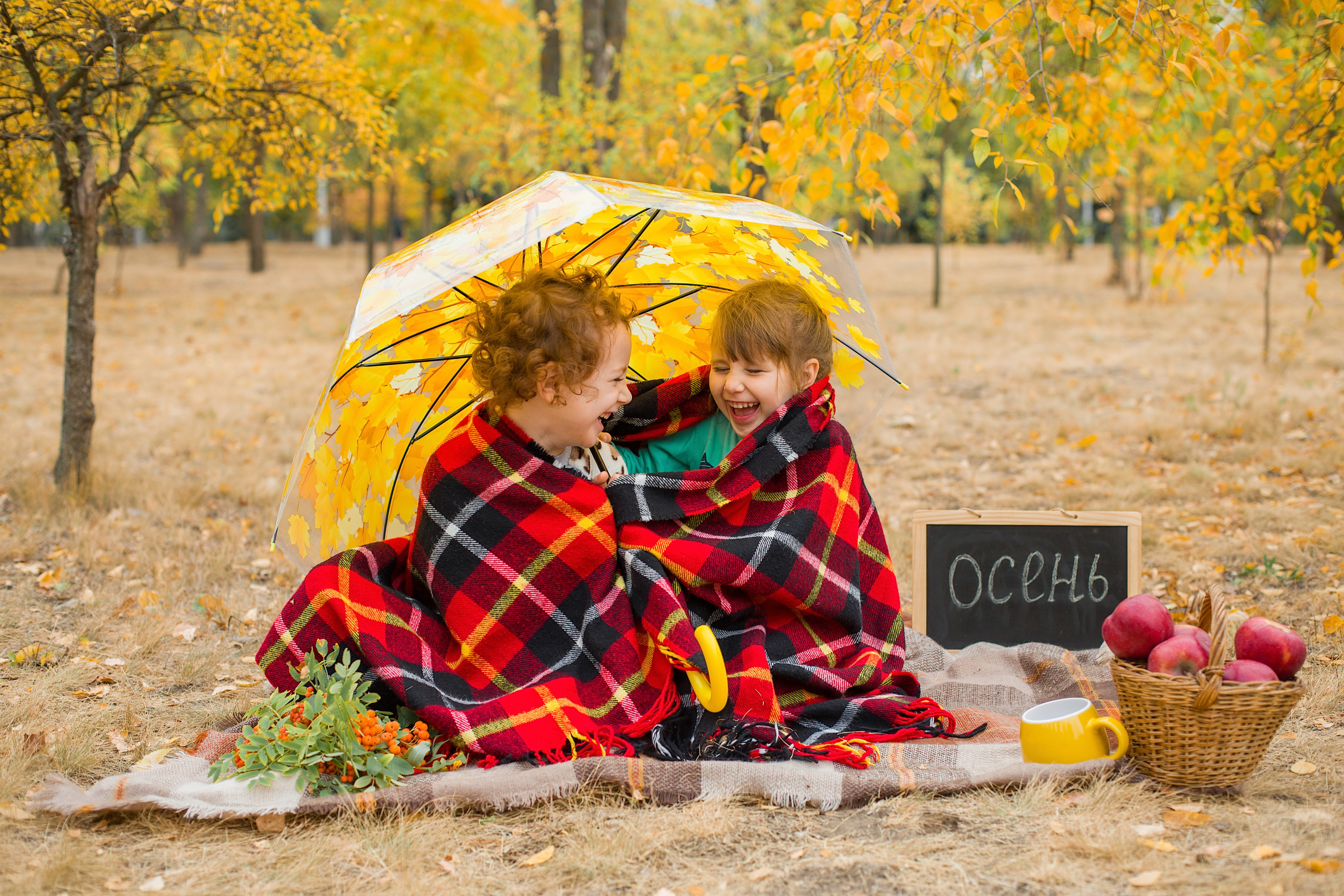 Фотосессии. Фотограф Аня Самофалова