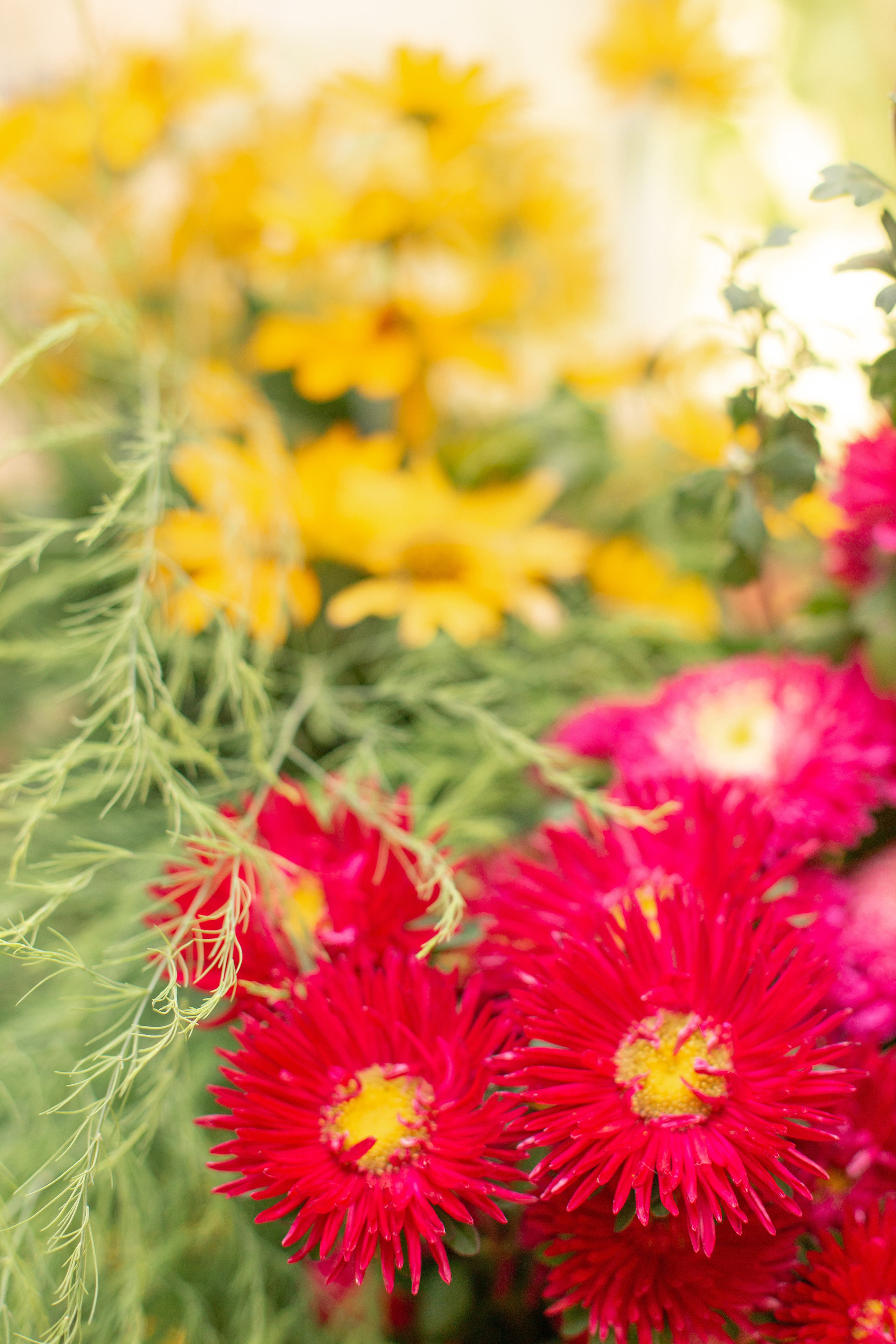 Школа. Фотограф Аня Самофалова