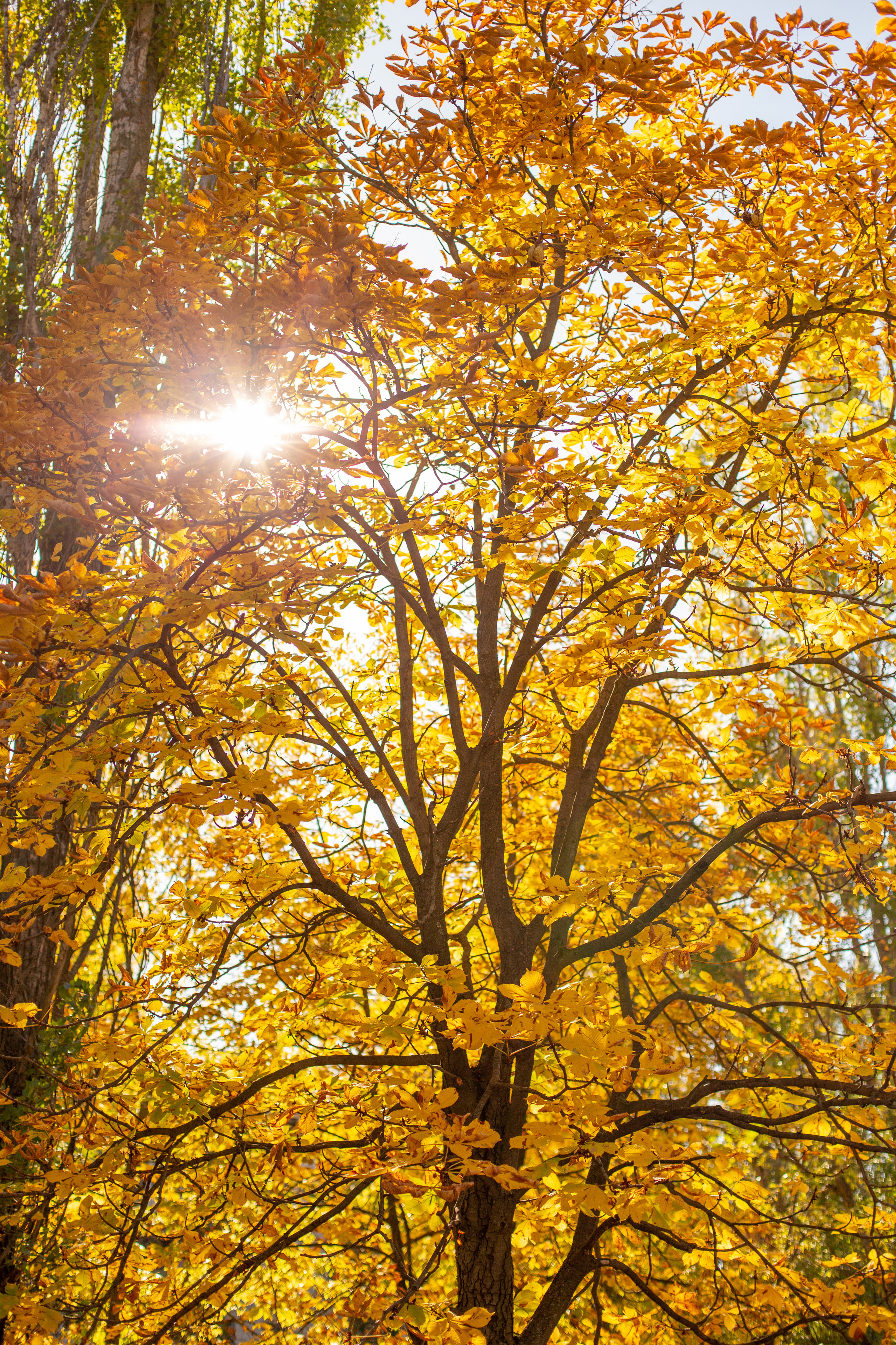 Фотосессии. Фотограф Аня Самофалова