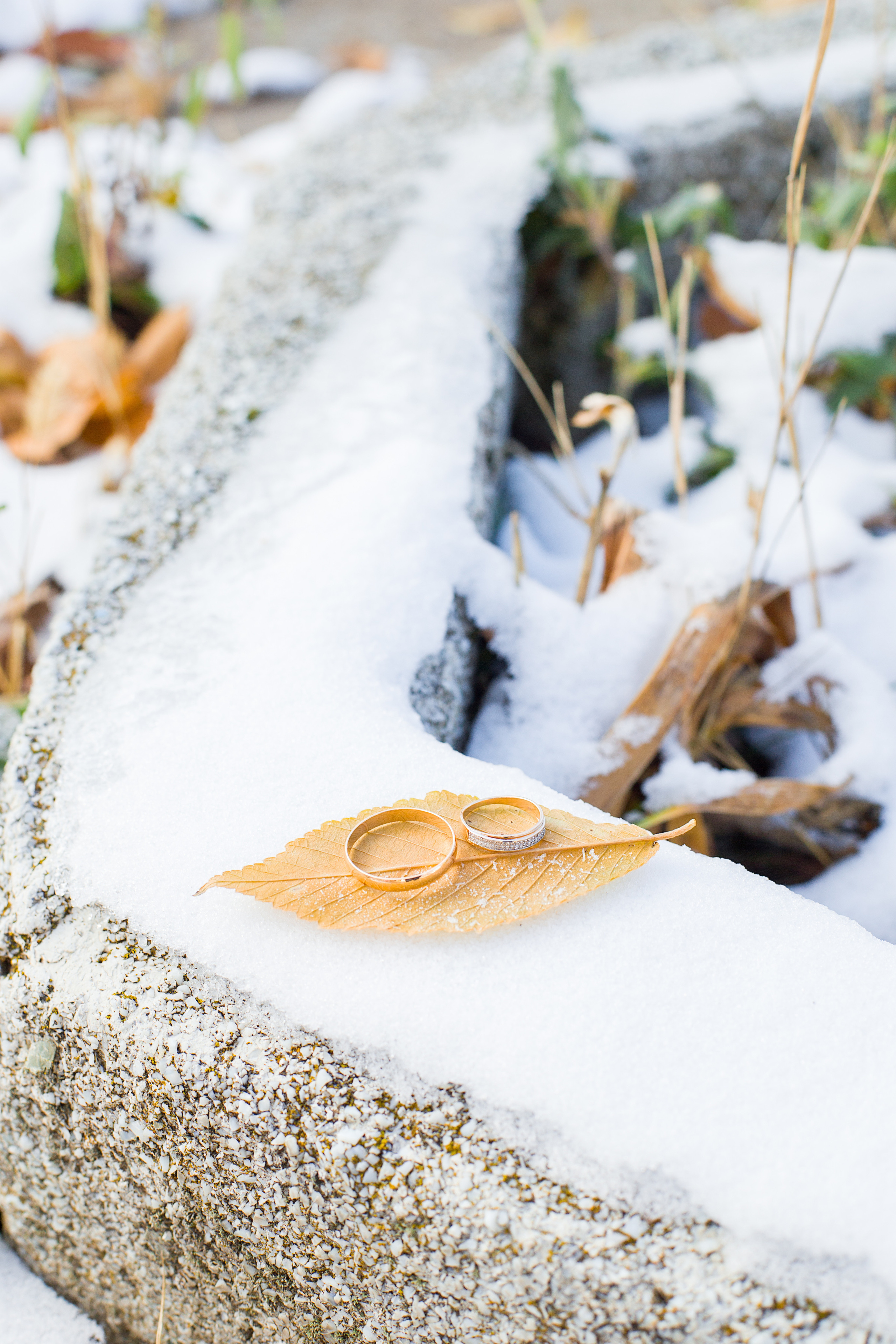 Фотосессии. Фотограф Аня Самофалова