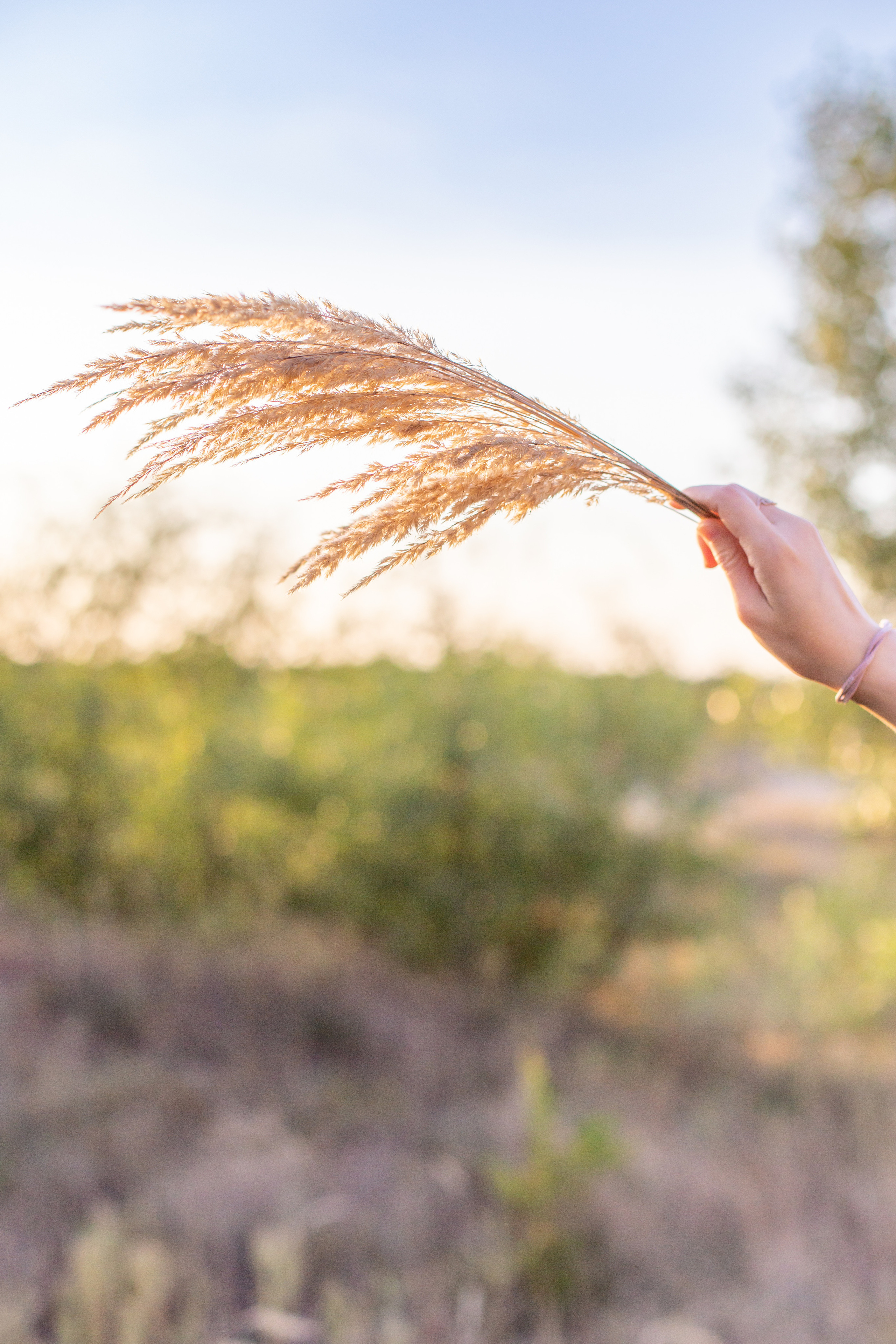 Фотосессии. Фотограф Аня Самофалова