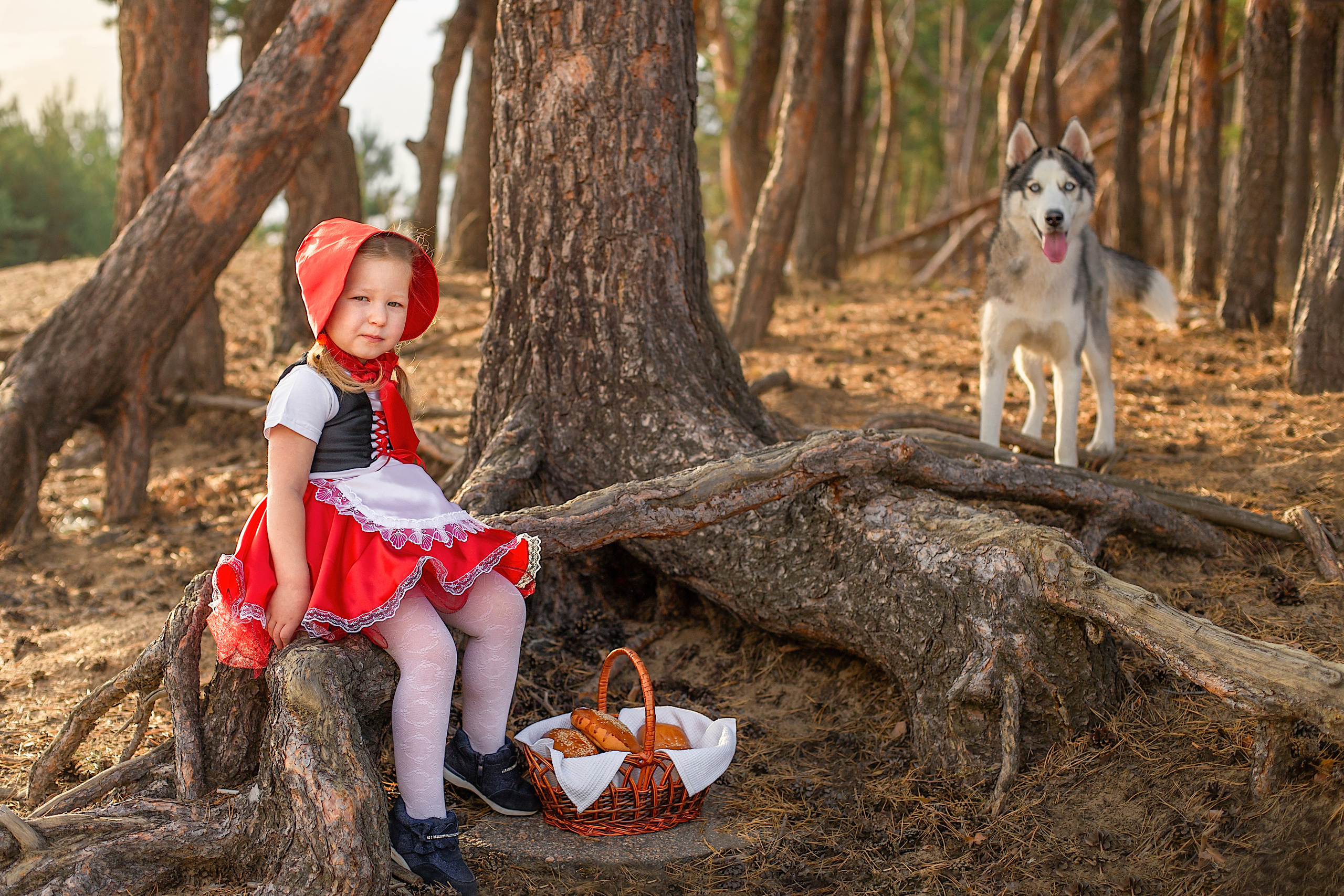 Фотосессии. Фотограф Аня Самофалова