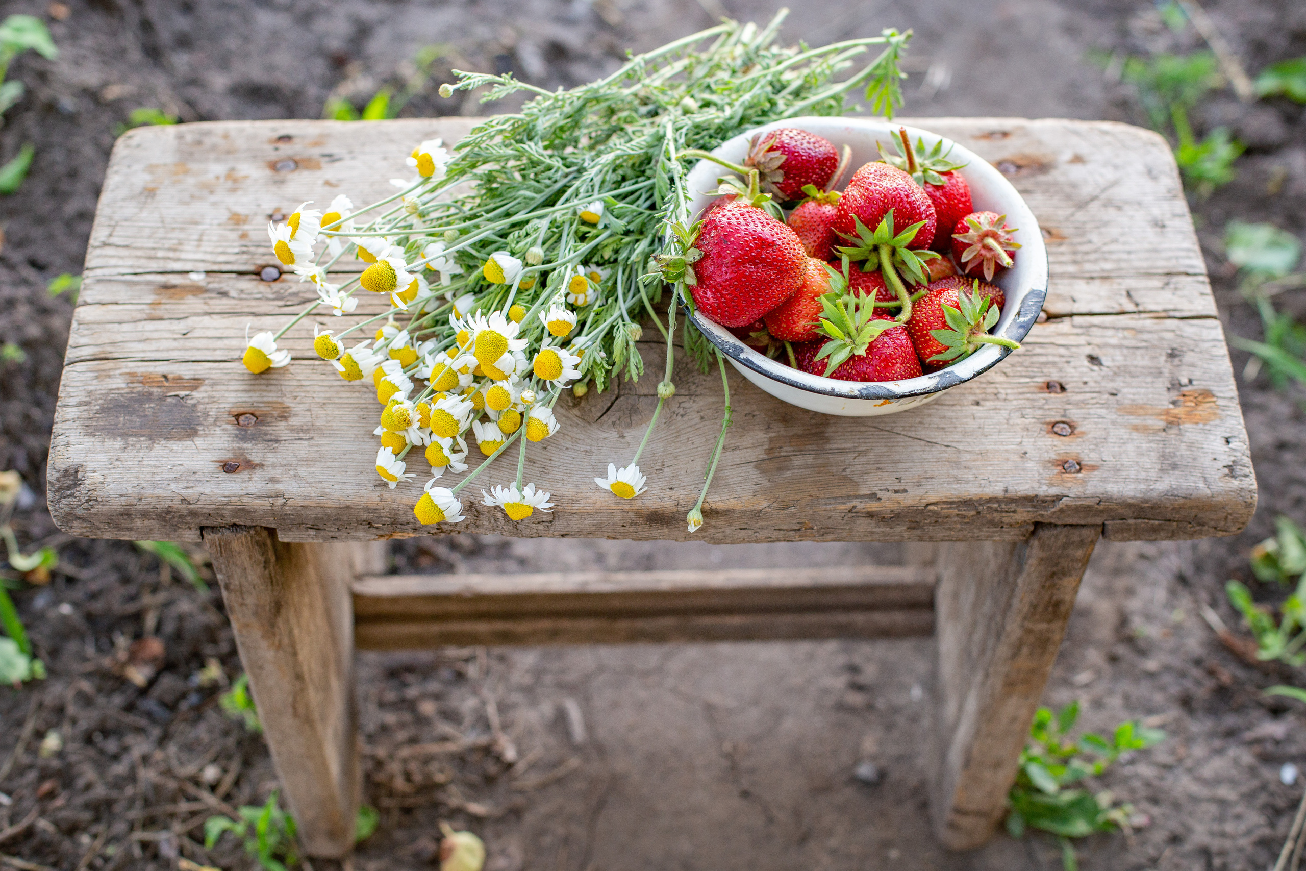 Фотосессии. Фотограф Аня Самофалова