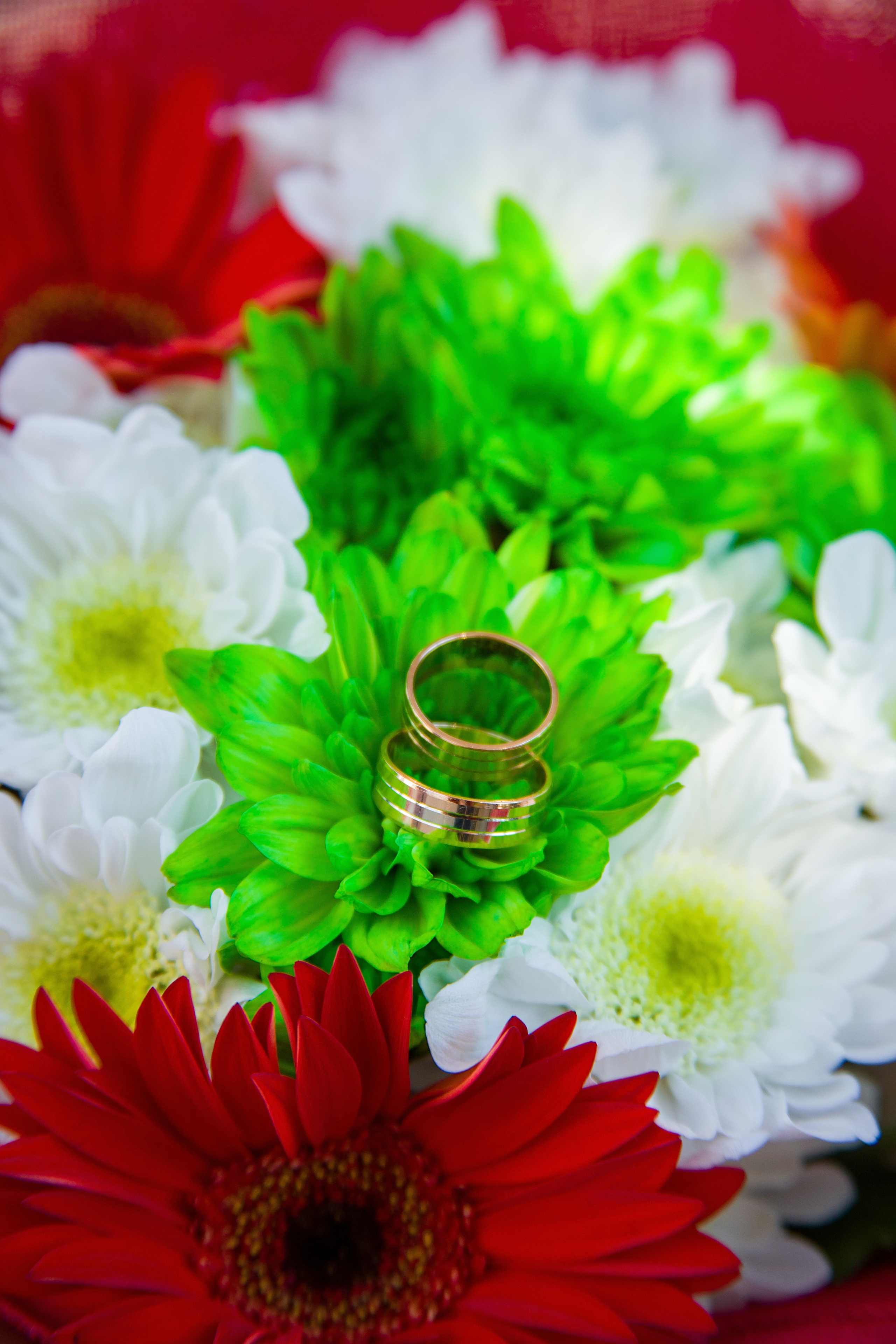 Фотосессии. Фотограф Аня Самофалова