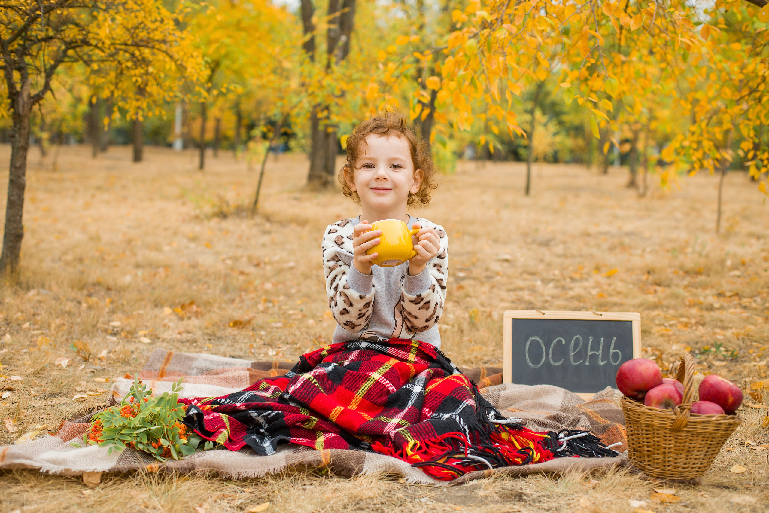 Фотосессии. Фотограф Аня Самофалова