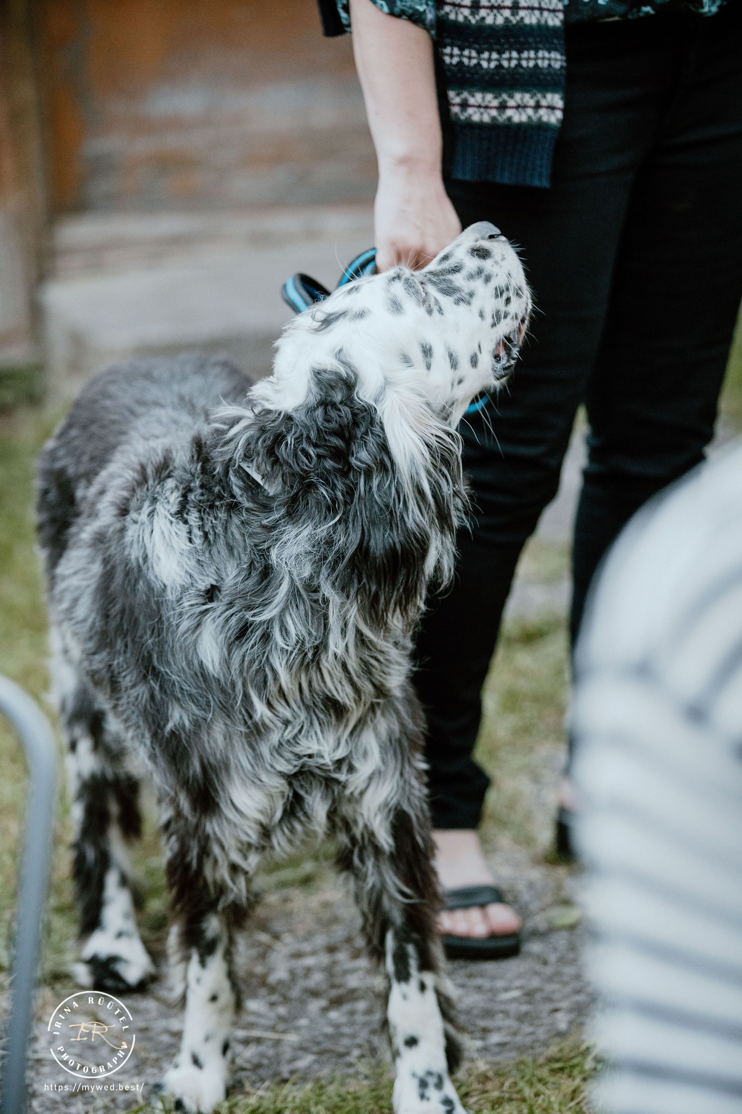 Salooga. Saaremaa. Wedding and Family Photographer