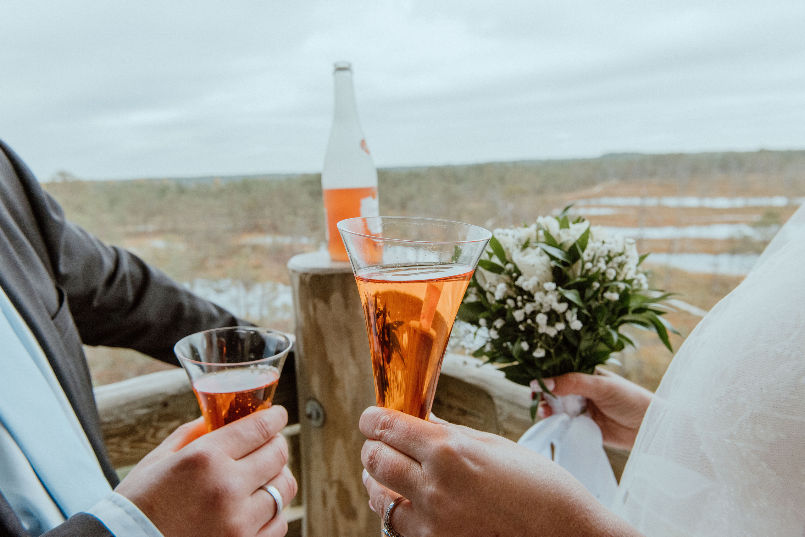 Veigo&Maria. Свадебная и семейная фото- и видеосъемка в Таллине и Одессе