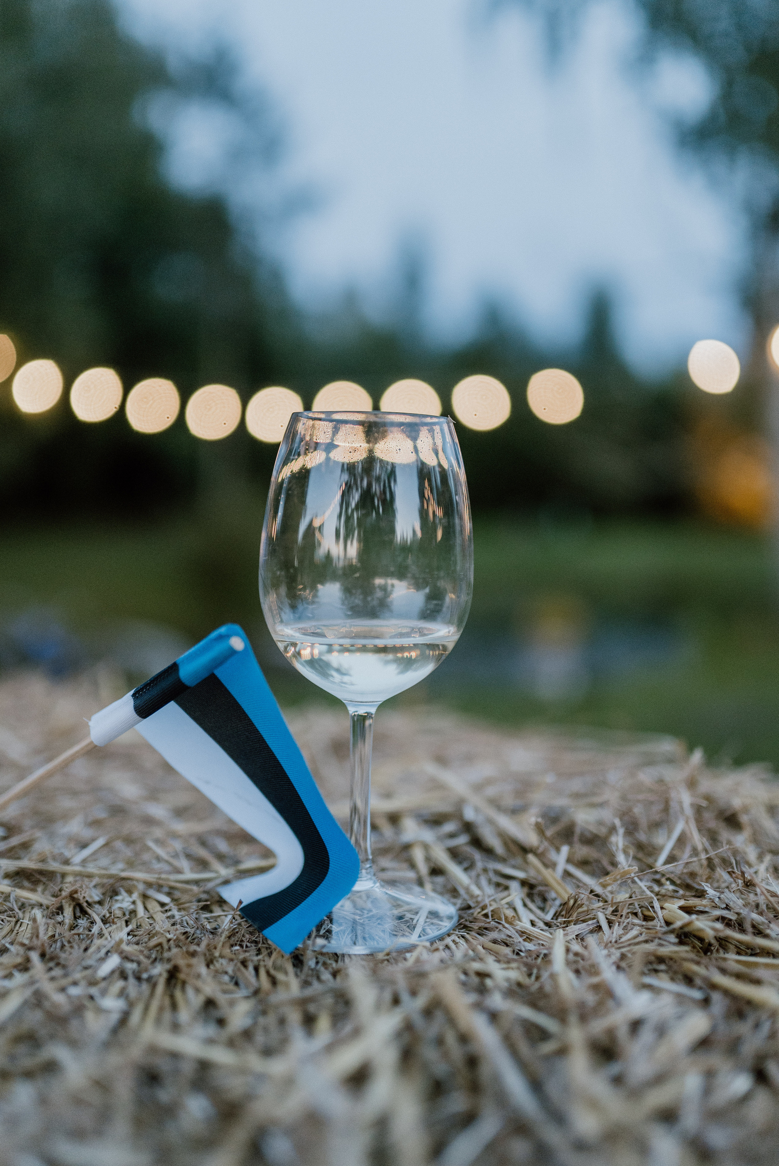 Urisaare 2021, Kantry festival. Pulmafotograaf ja videograaf Eestis, Tallinn