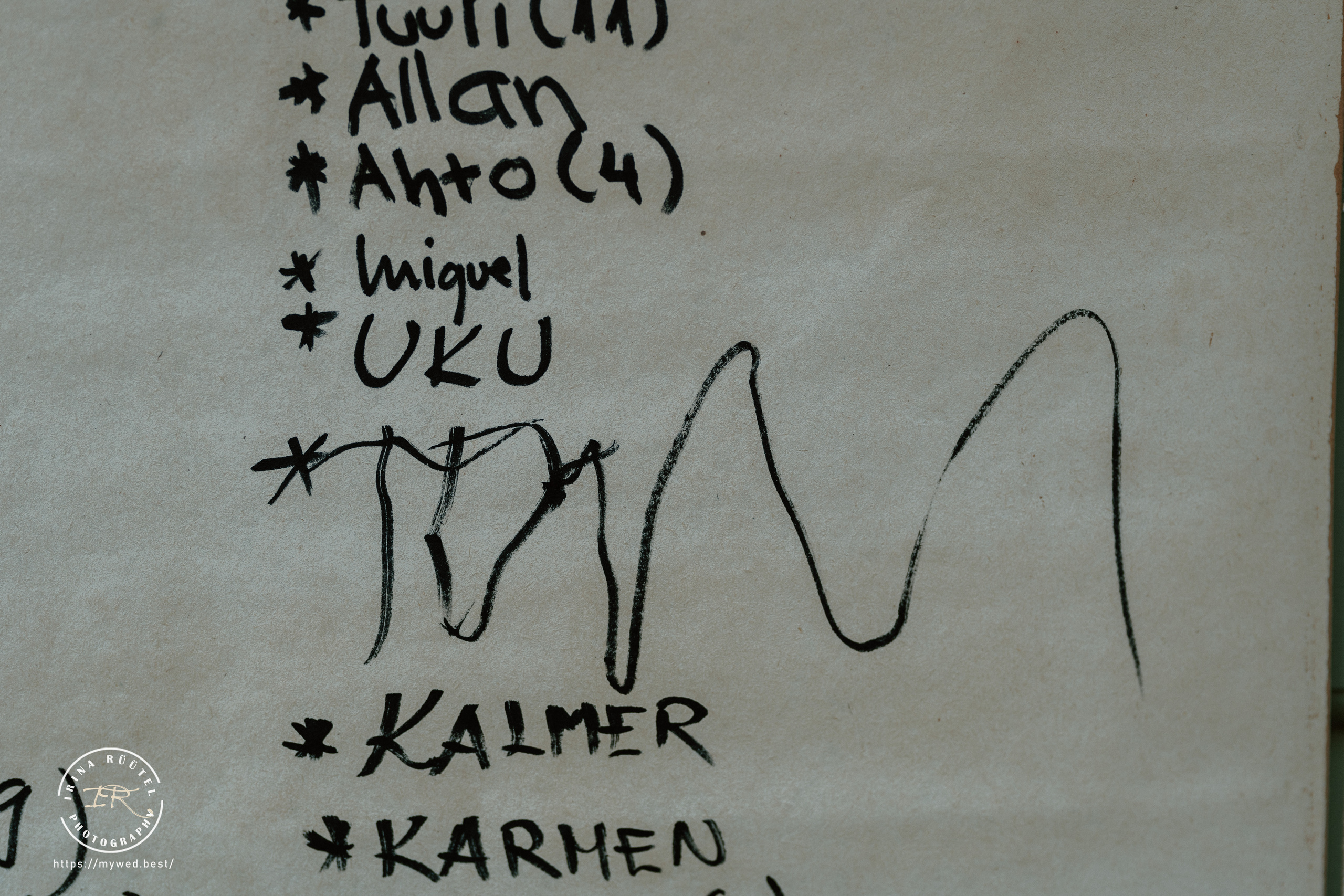 Salooga. Saaremaa. Wedding and Family Photographer